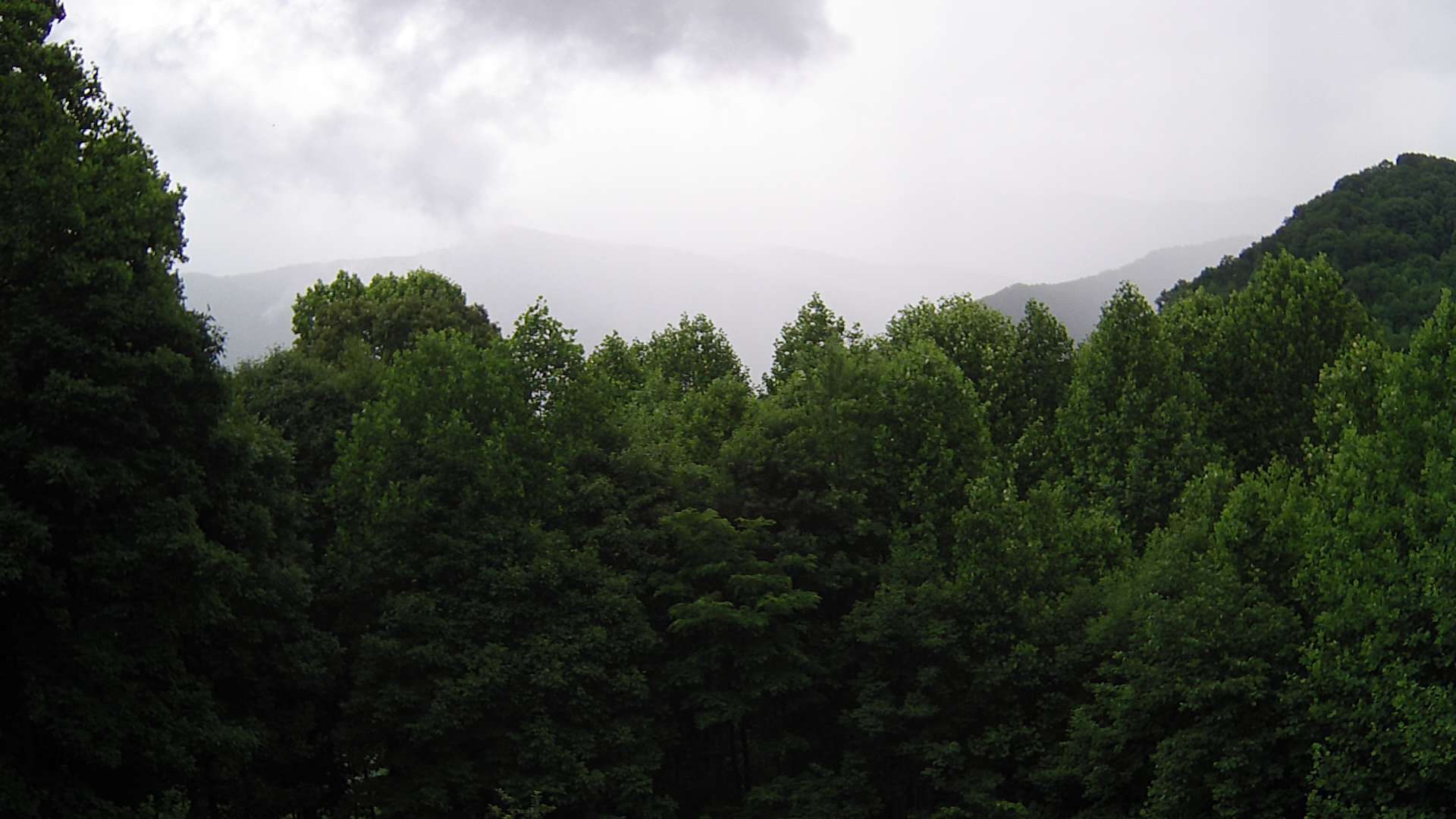 click for next image... slideshow image