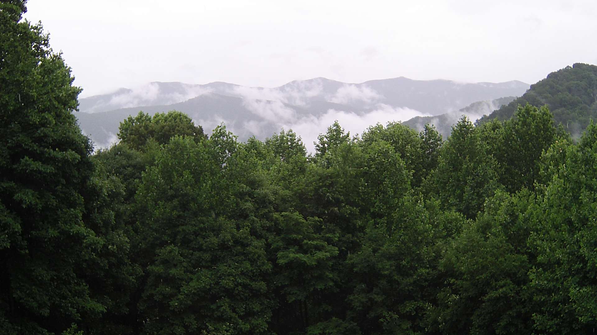click for next image... slideshow image
