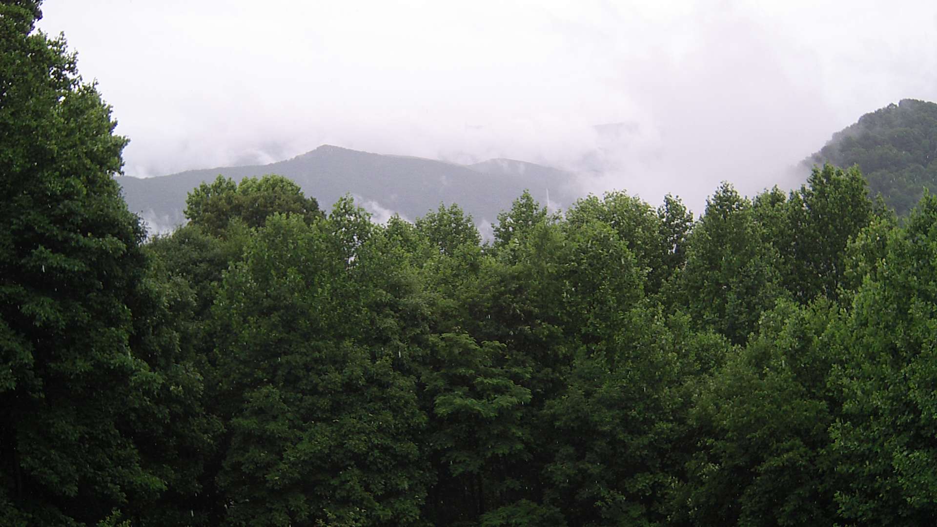 click for next image... slideshow image