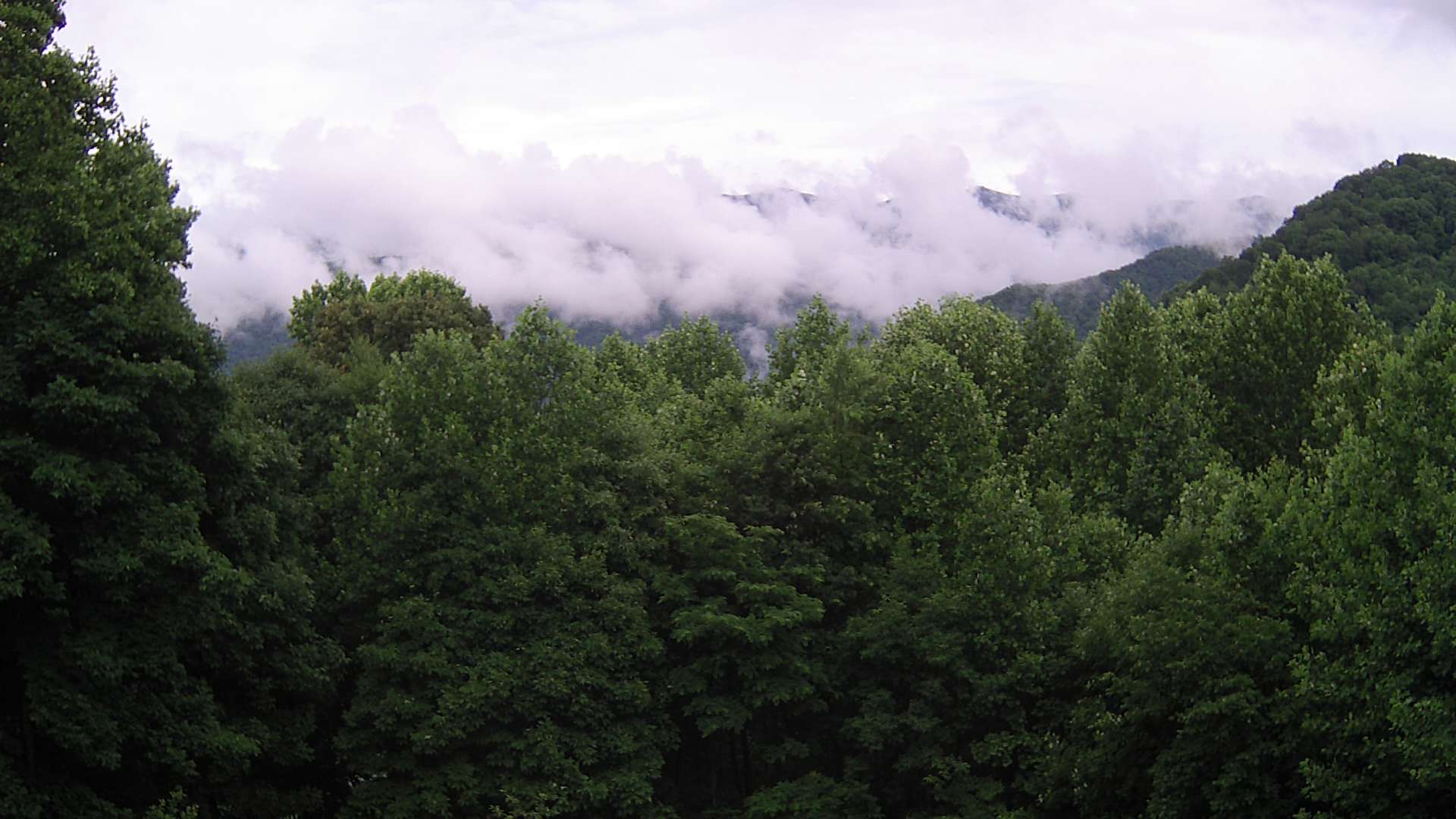 click for next image... slideshow image