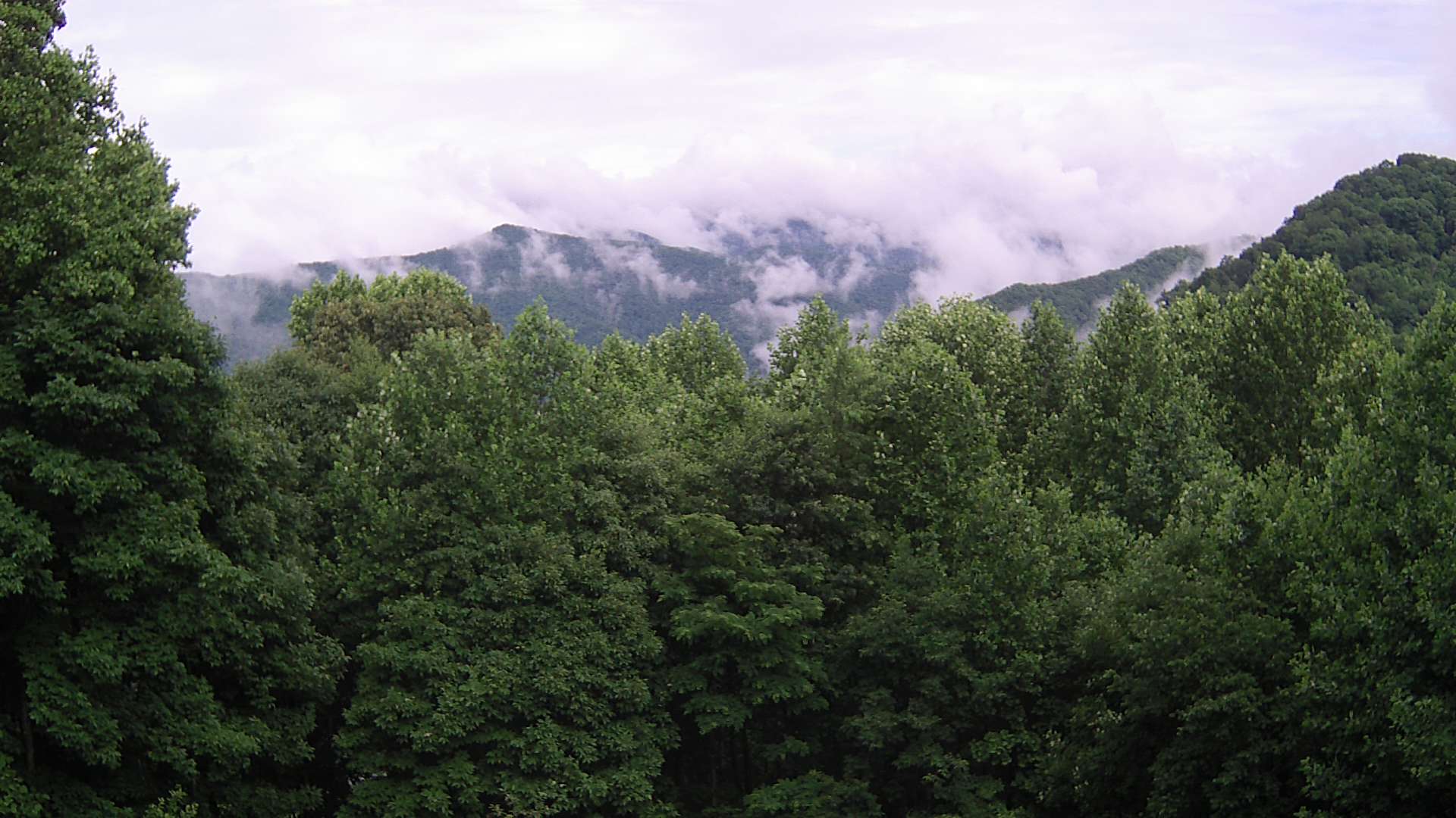 click for next image... slideshow image