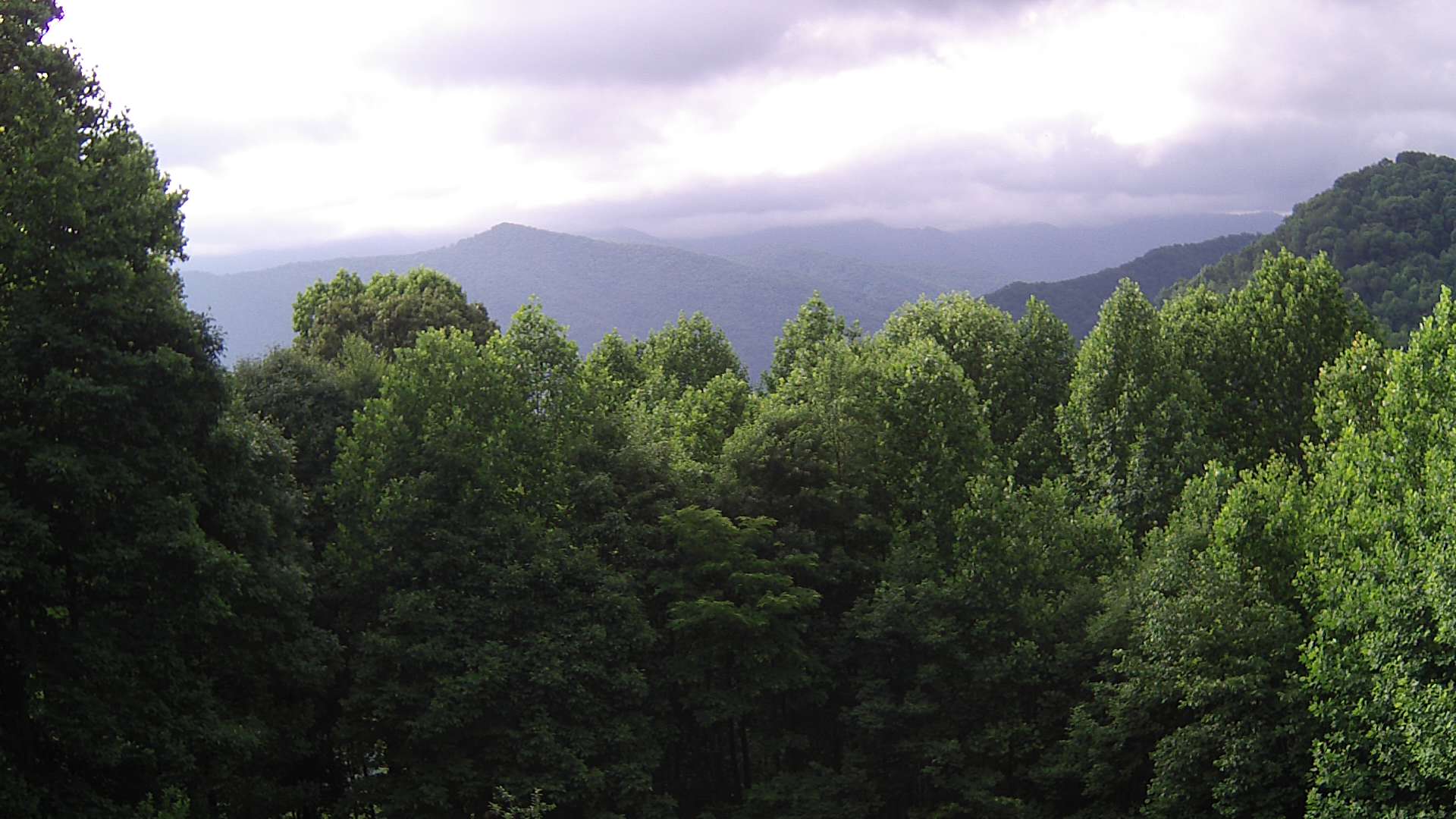 click for next image... slideshow image
