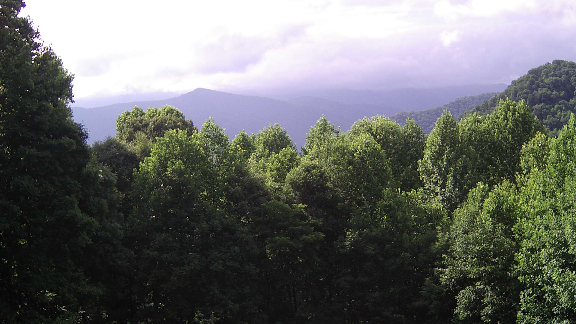 click for next image... slideshow image