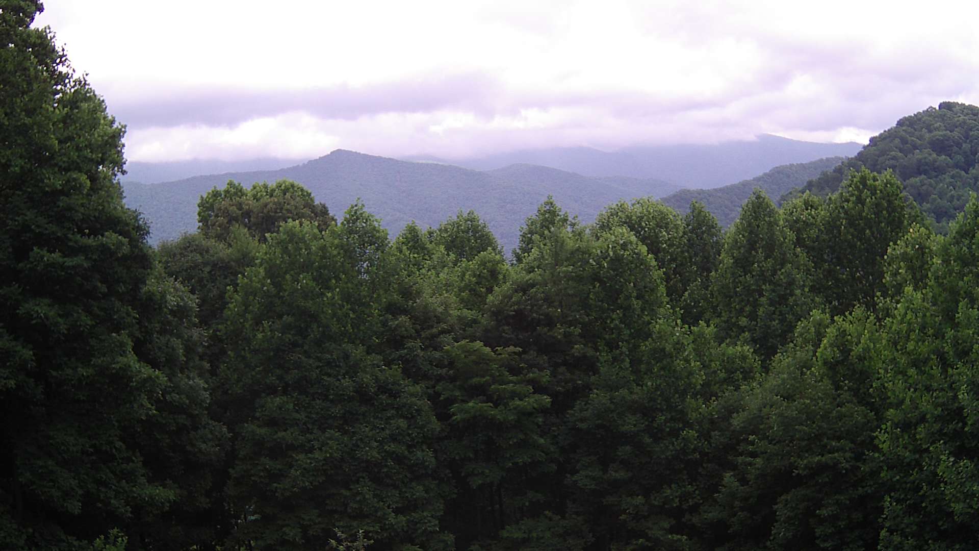 click for next image... slideshow image