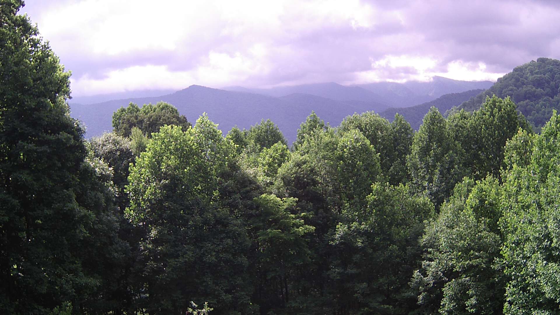 click for next image... slideshow image