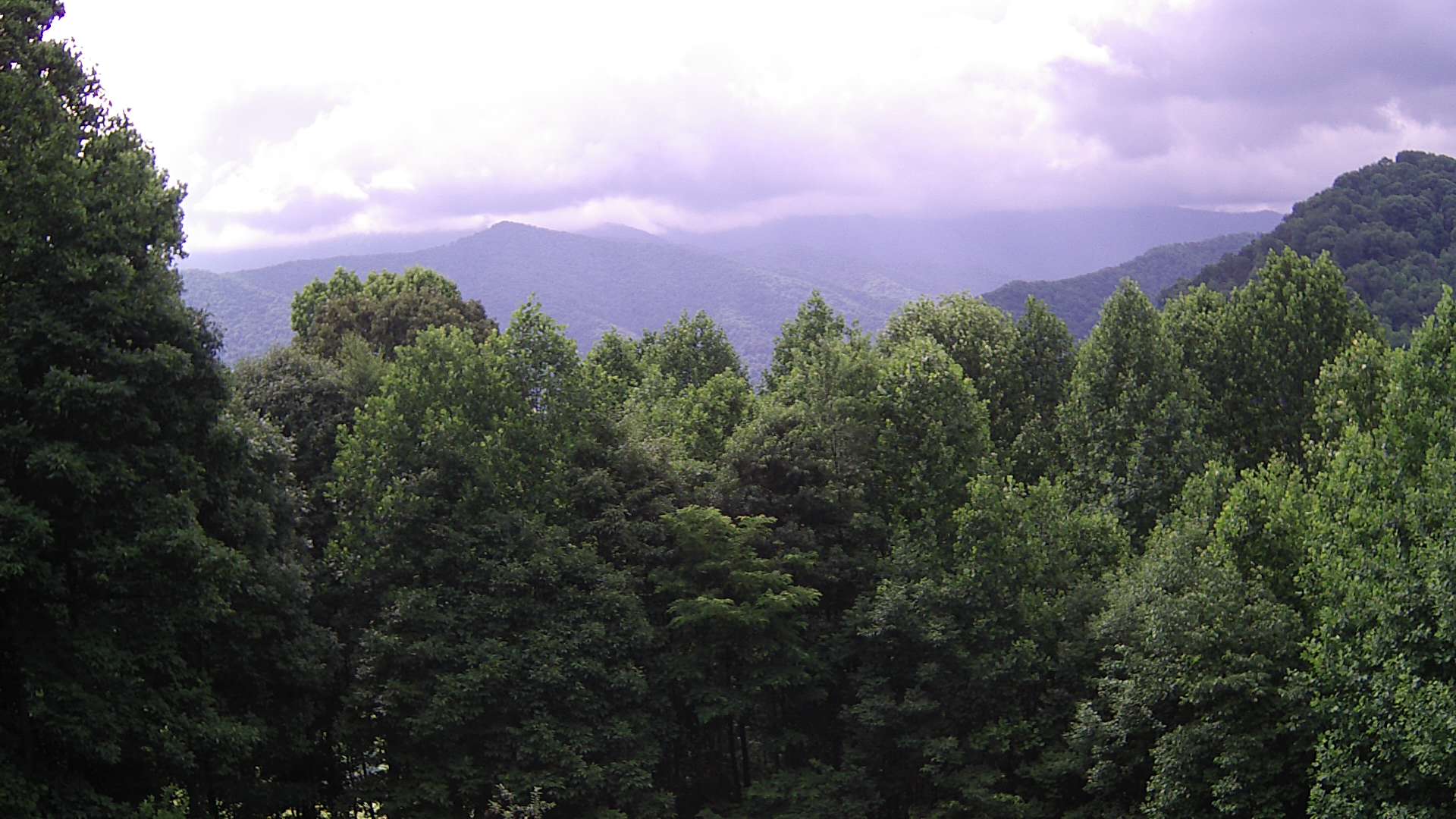 click for next image... slideshow image