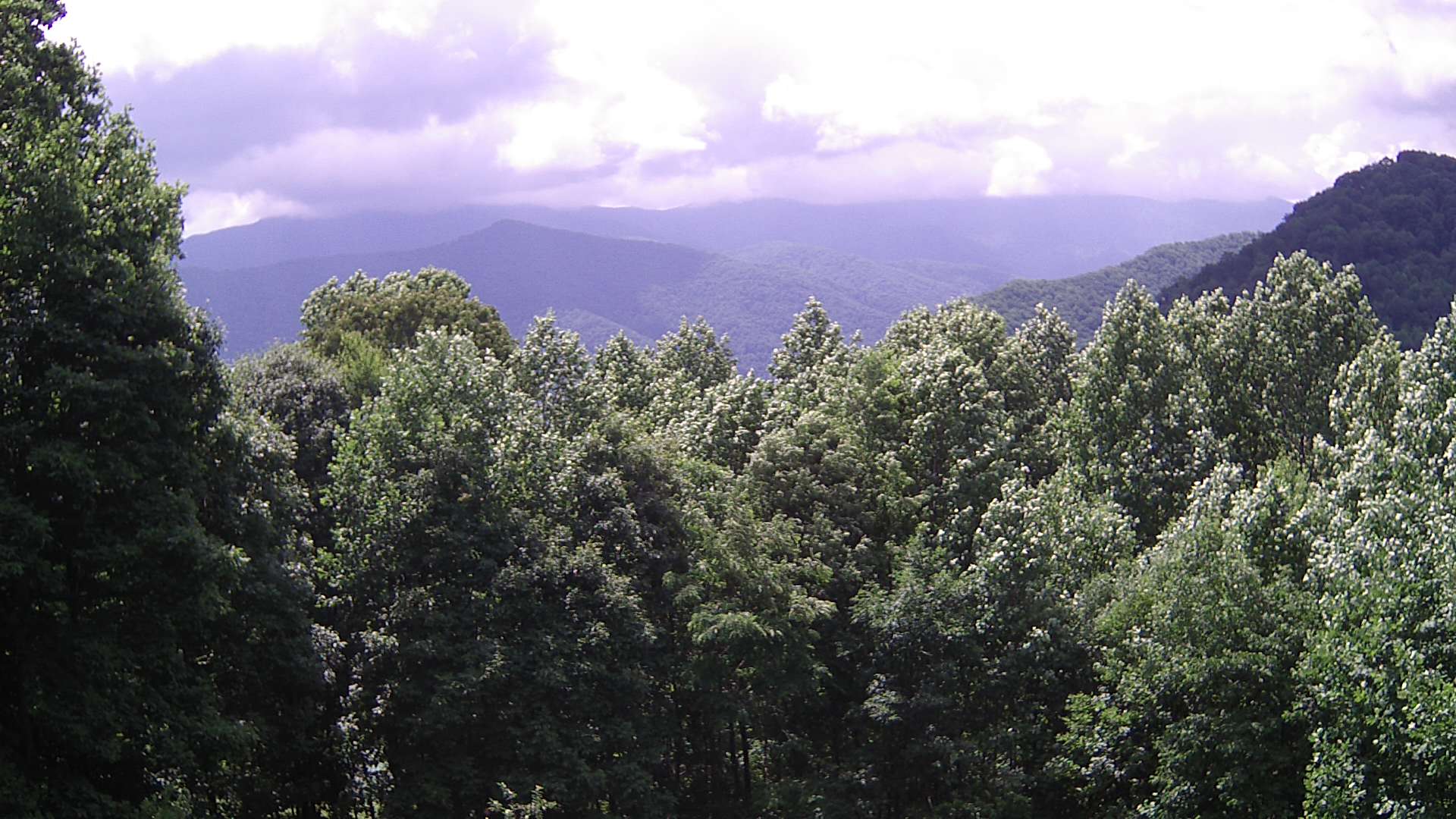 click for next image... slideshow image