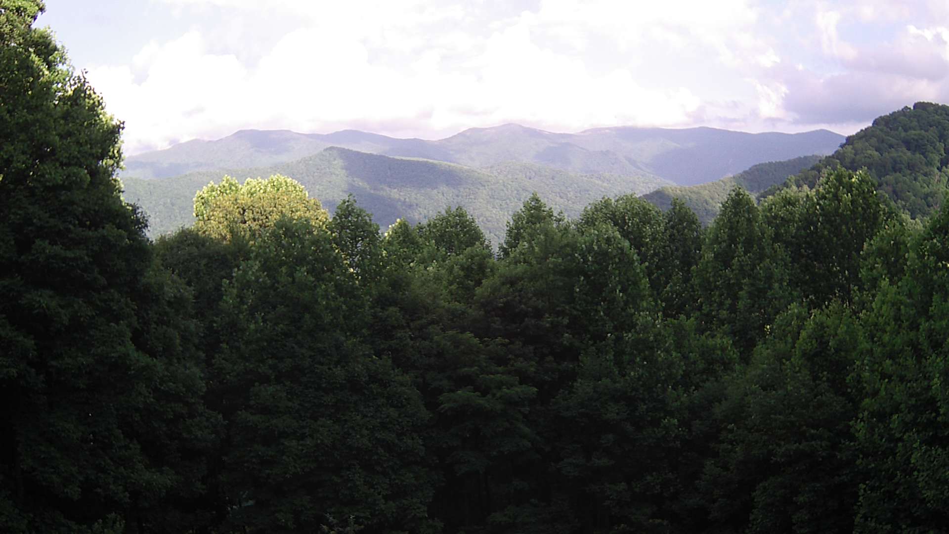 click for next image... slideshow image