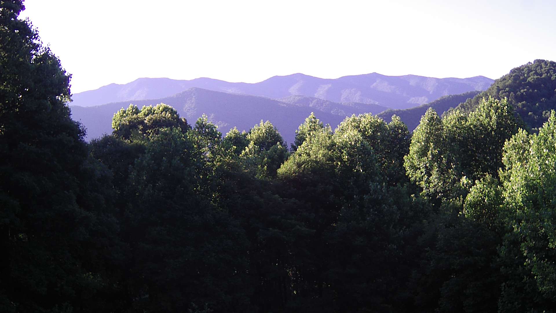 click for next image... slideshow image