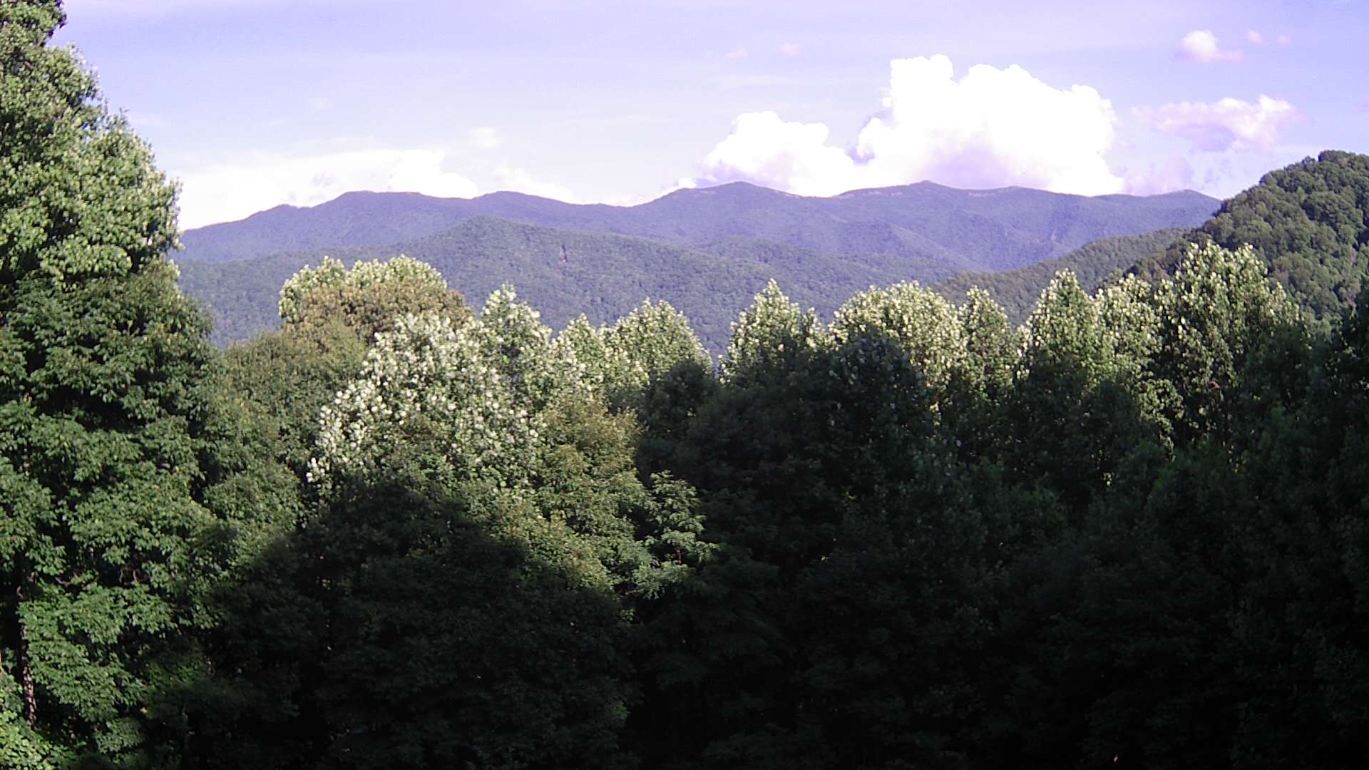 click for next image... slideshow image