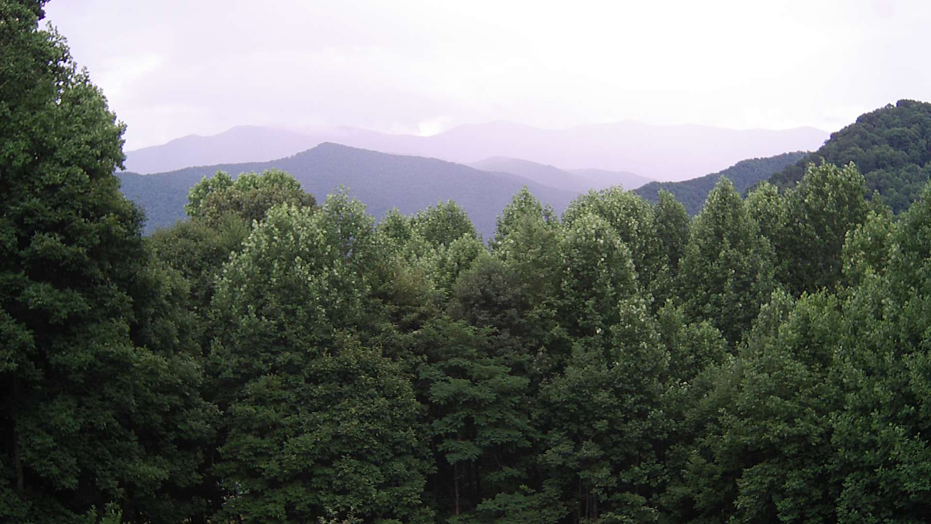 click for next image... slideshow image