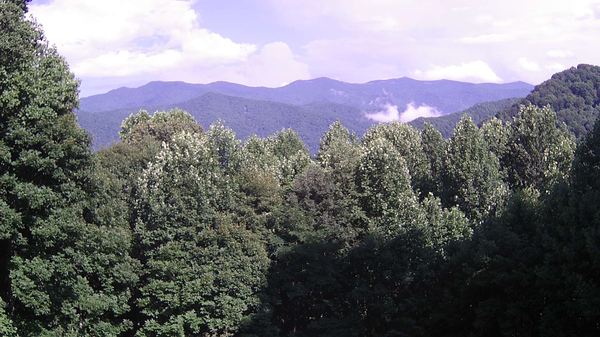 click for next image... slideshow image
