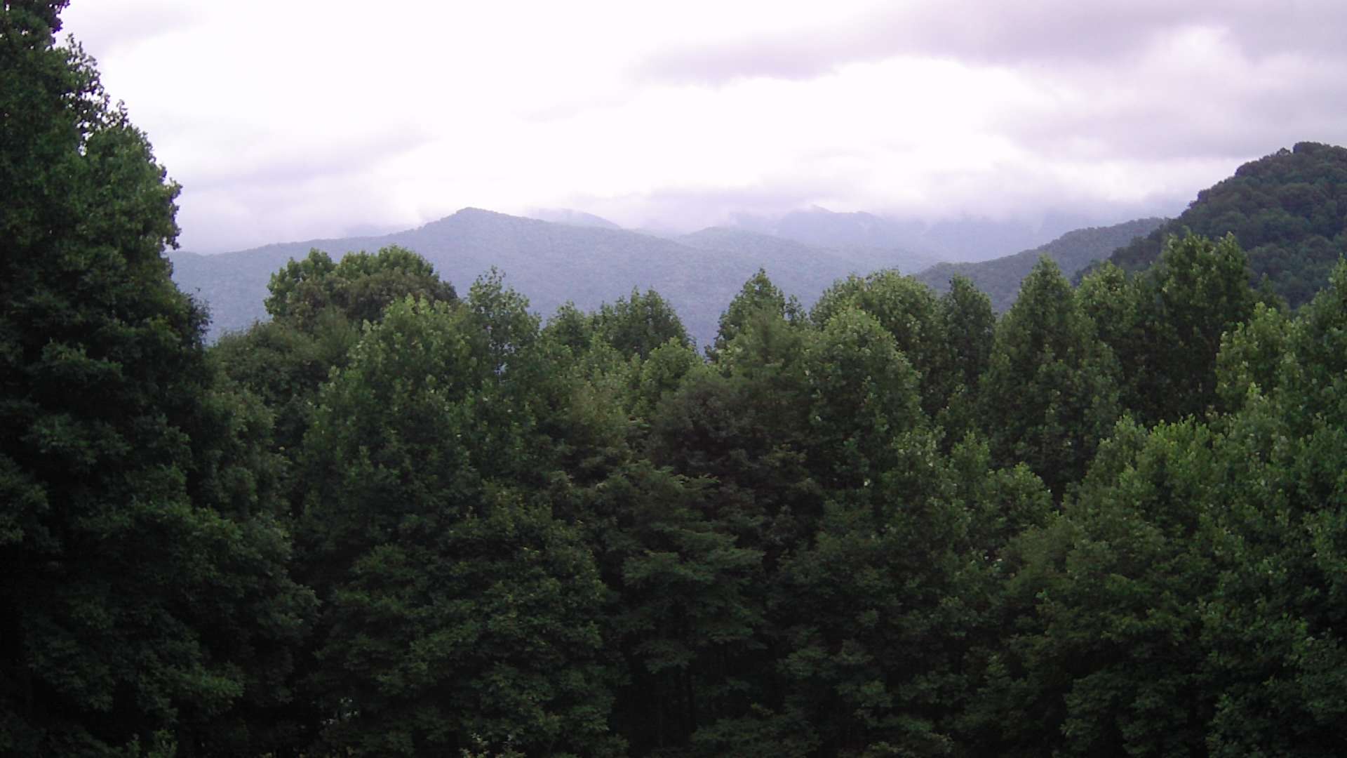 click for next image... slideshow image