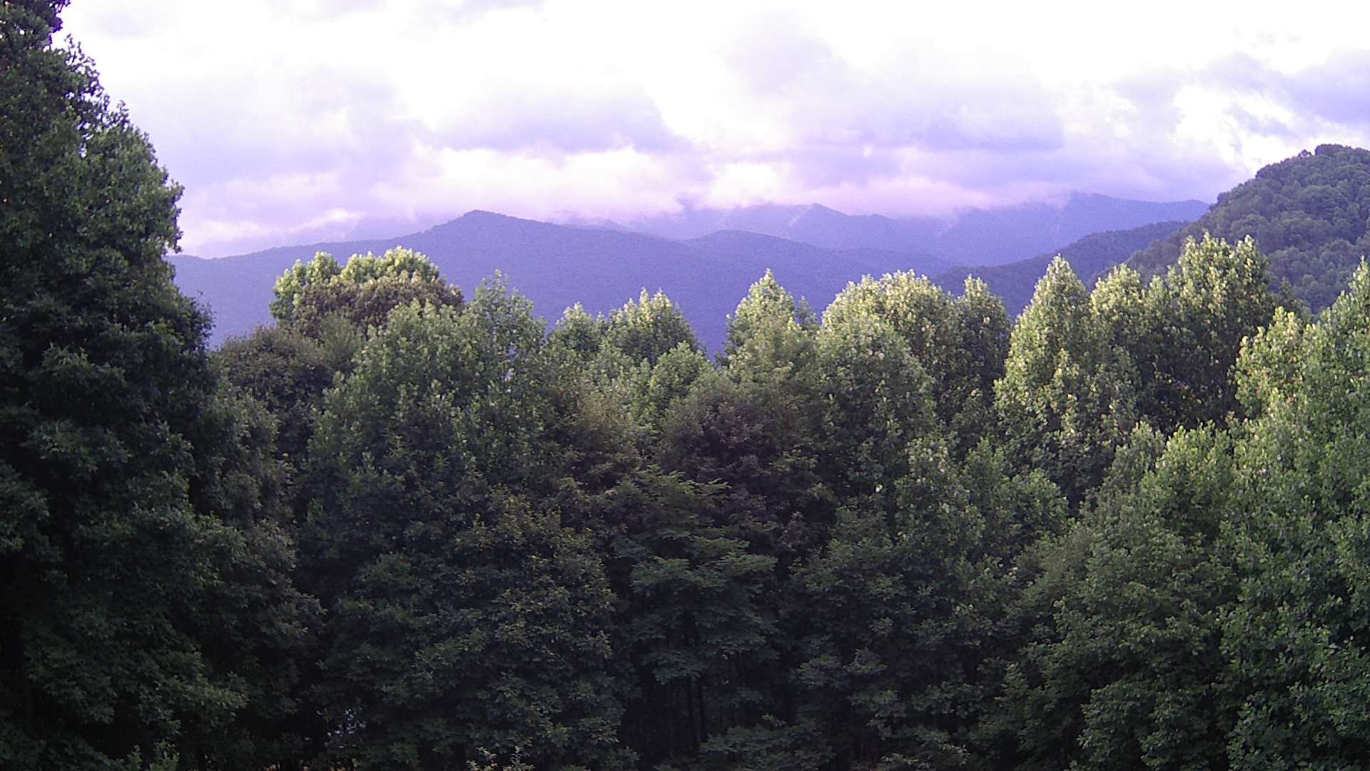 click for next image... slideshow image