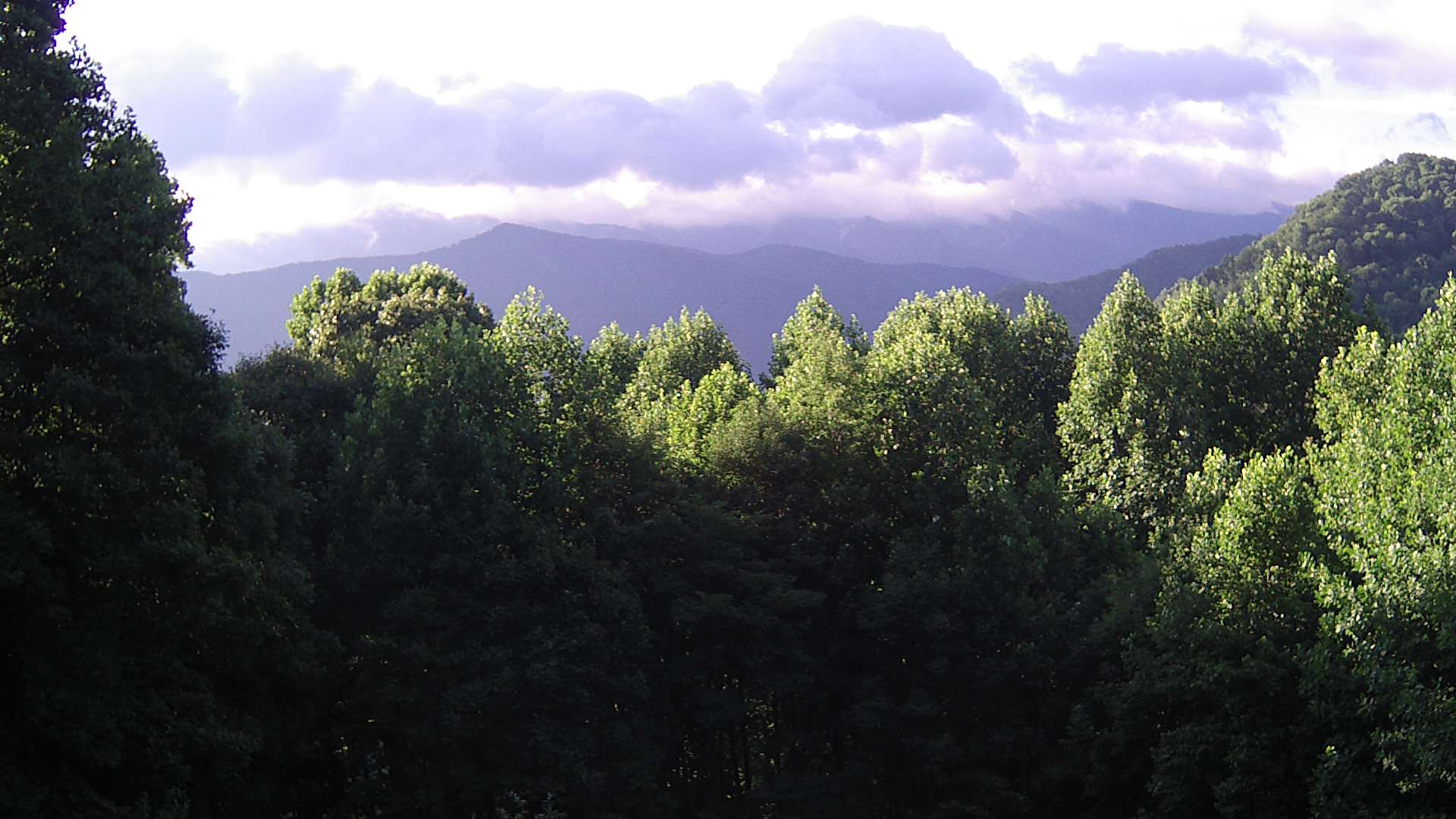 click for next image... slideshow image