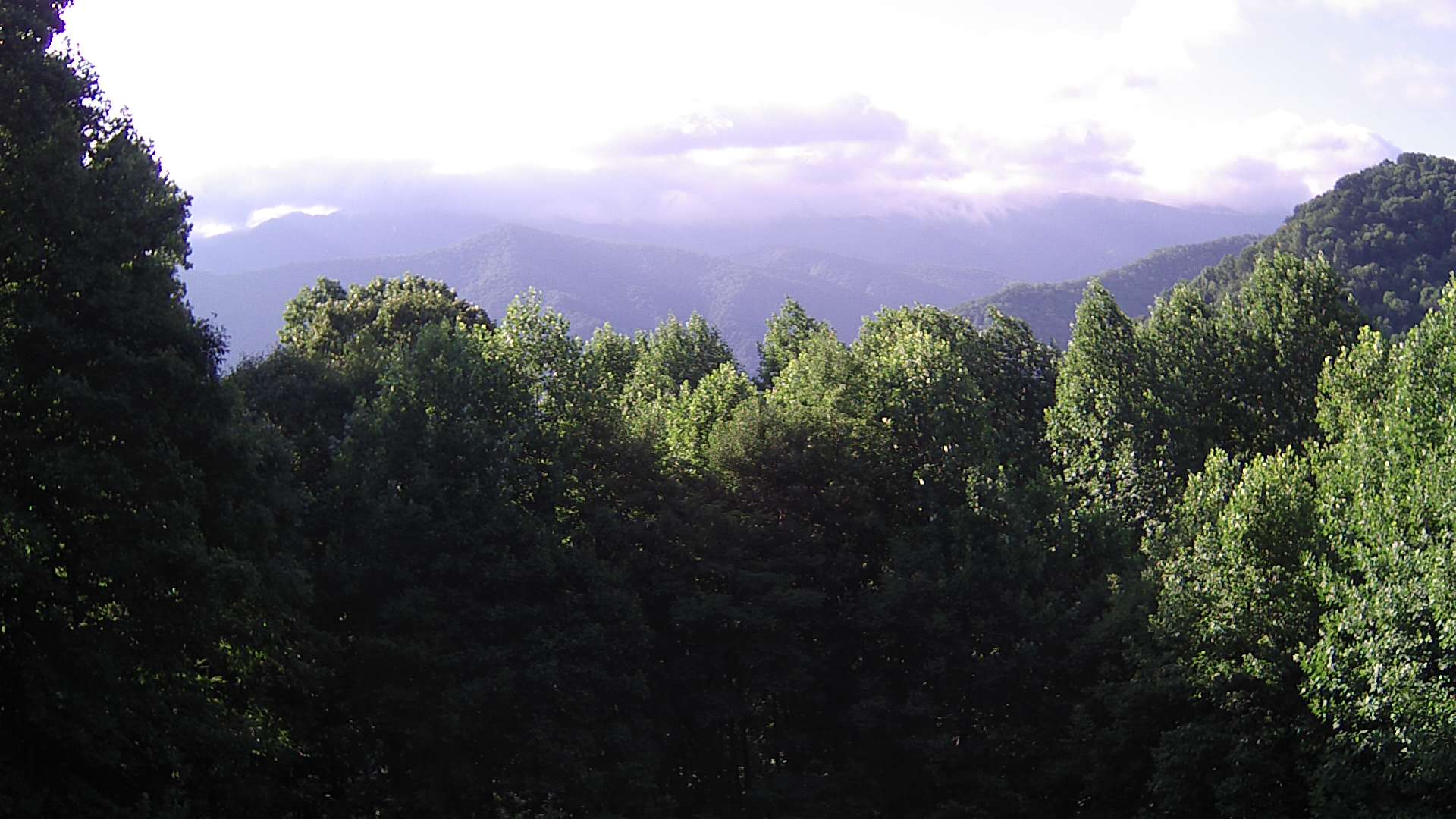 click for next image... slideshow image