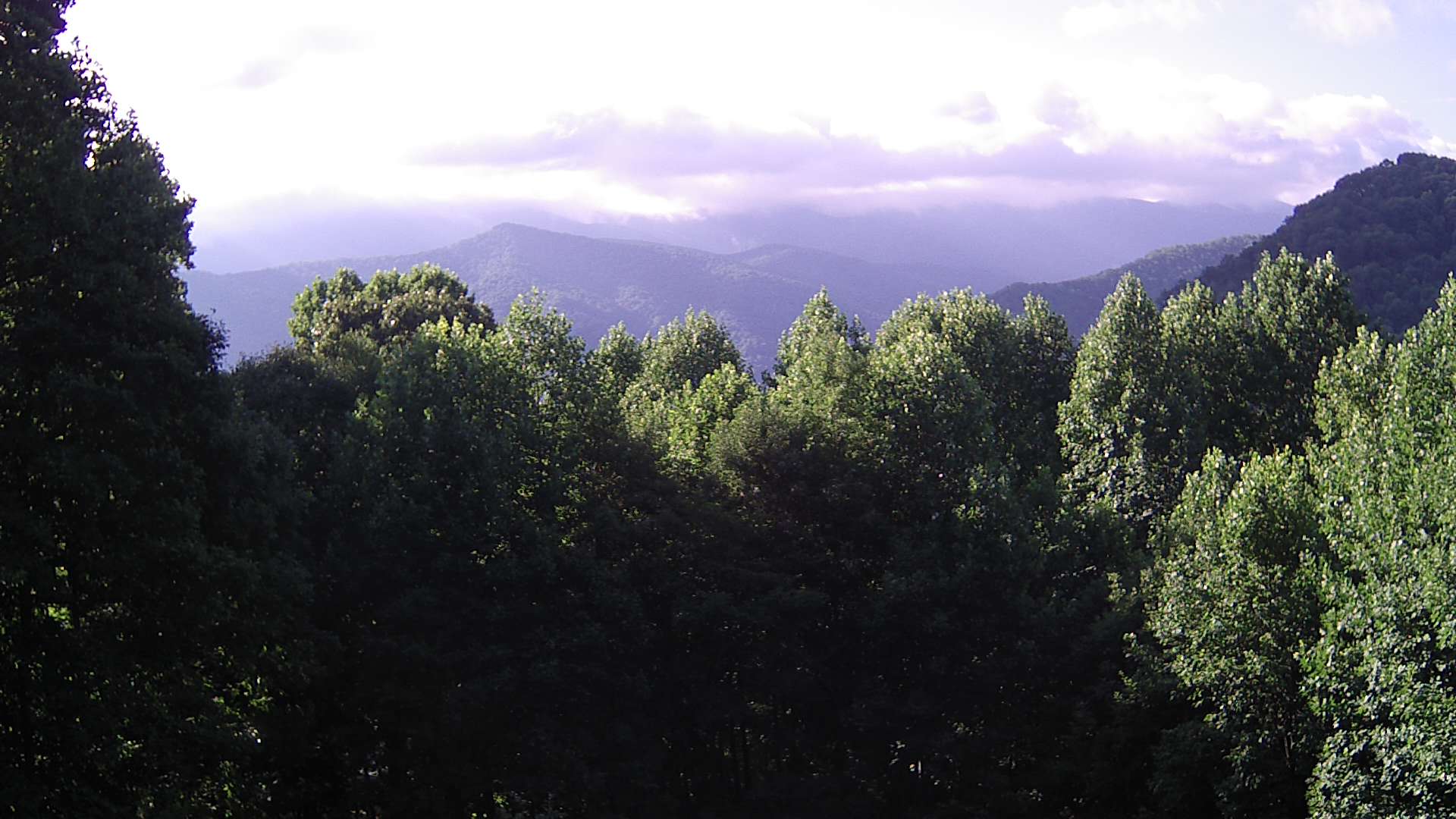 click for next image... slideshow image