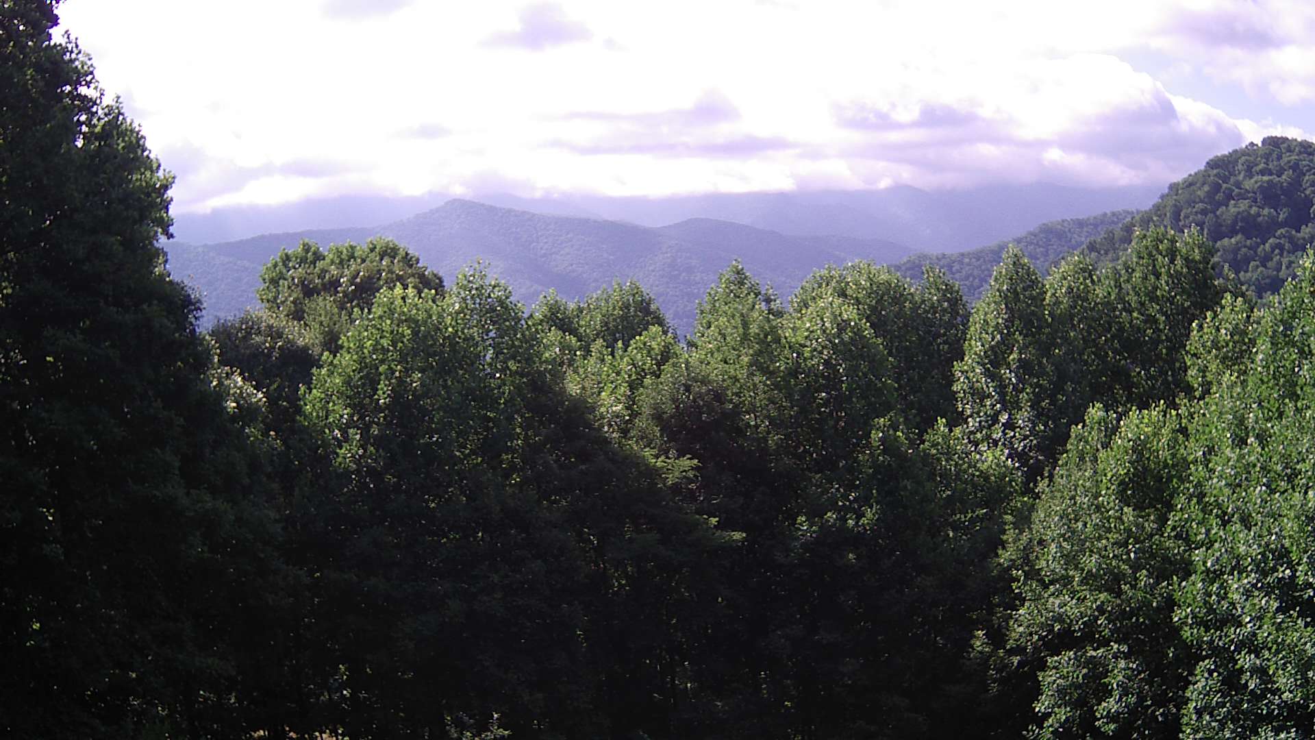 click for next image... slideshow image