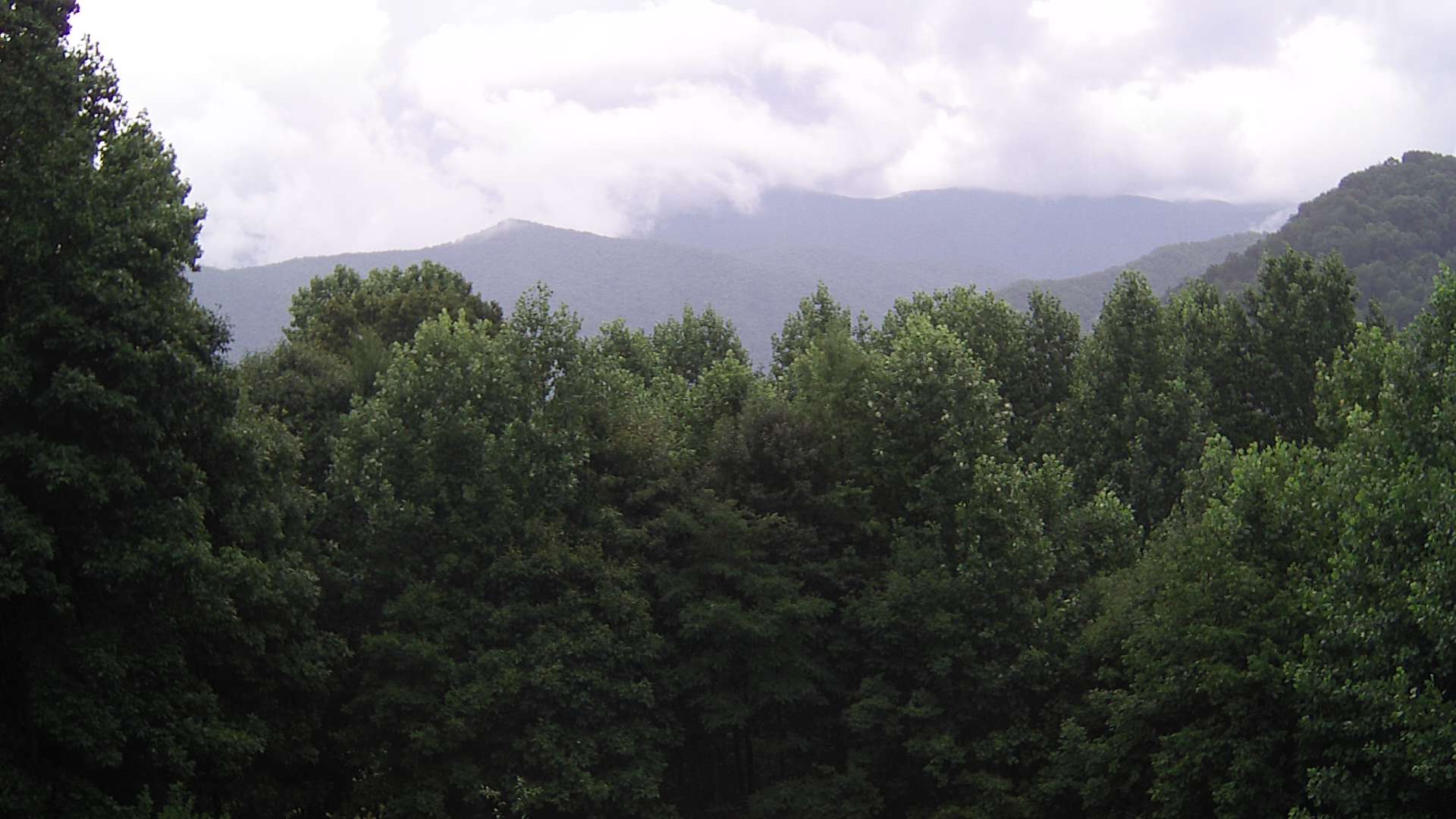 click for next image... slideshow image