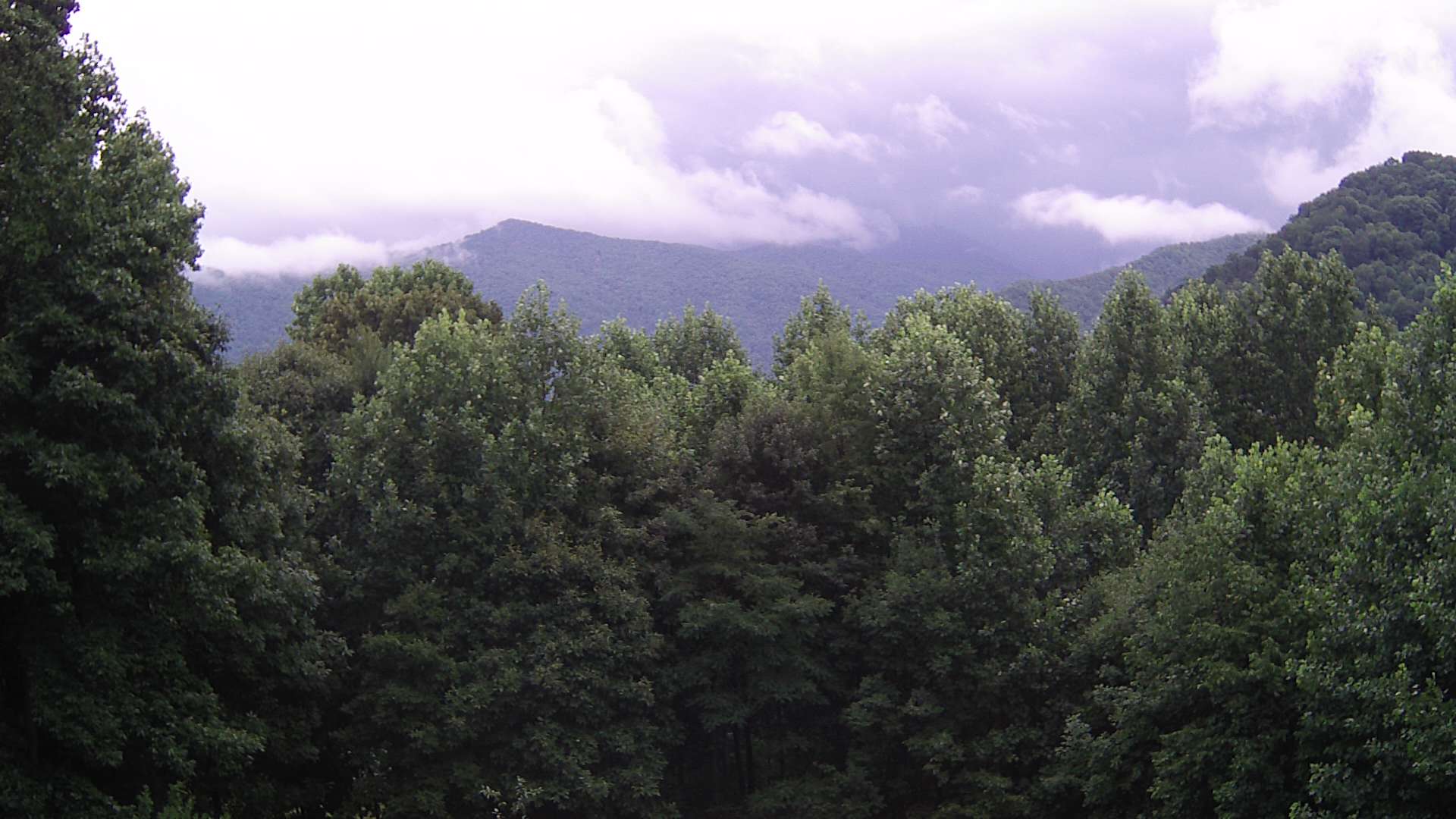 click for next image... slideshow image