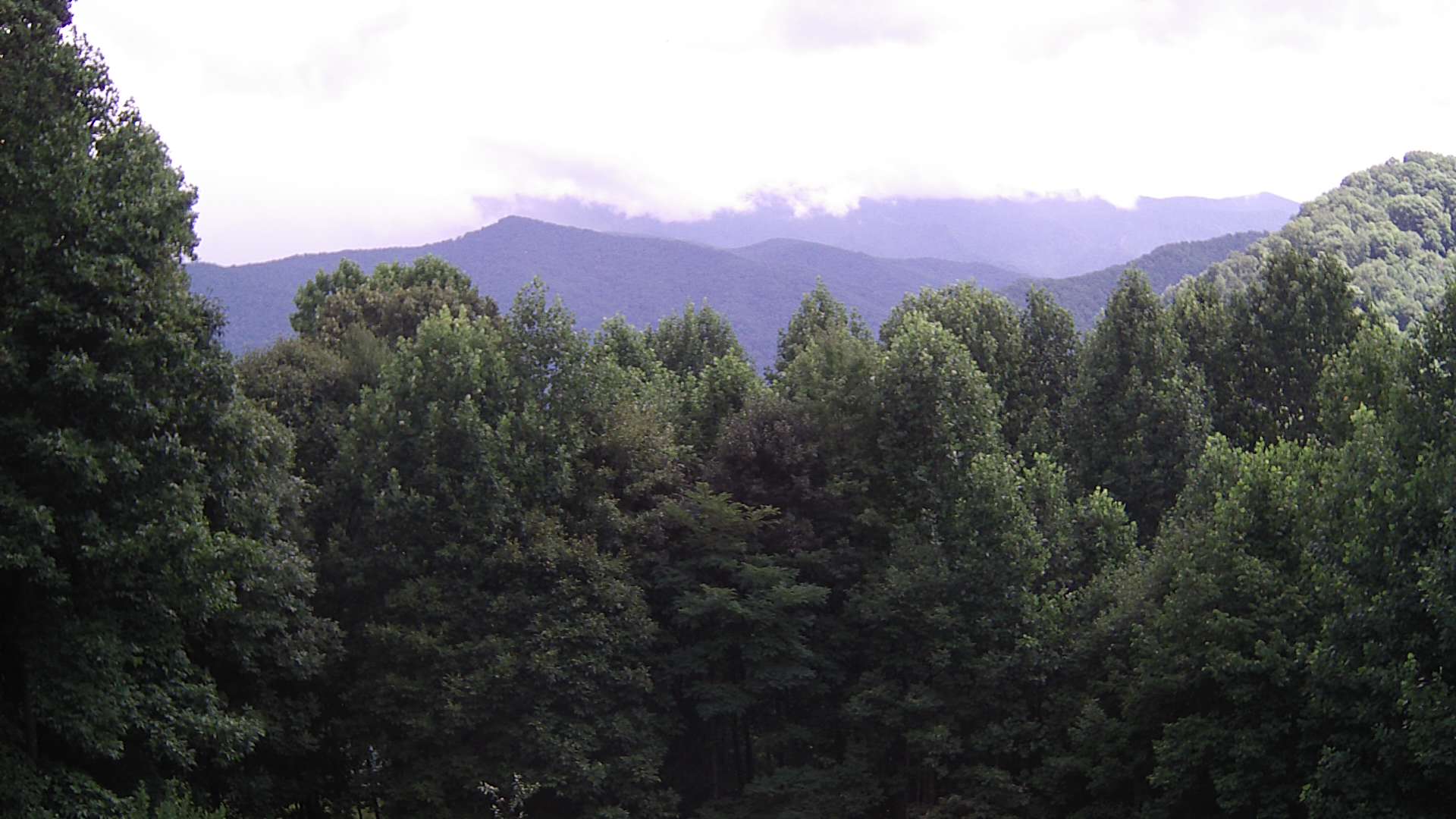click for next image... slideshow image