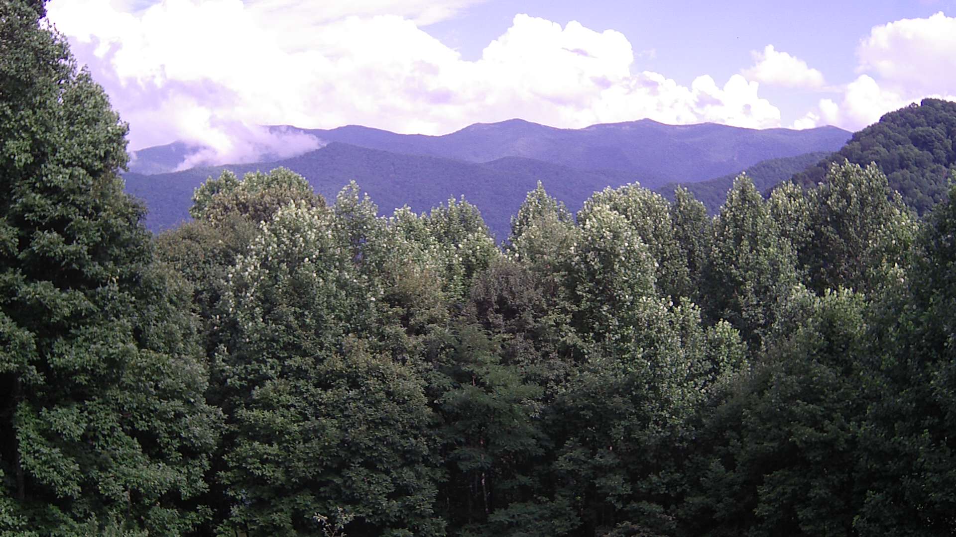 click for next image... slideshow image