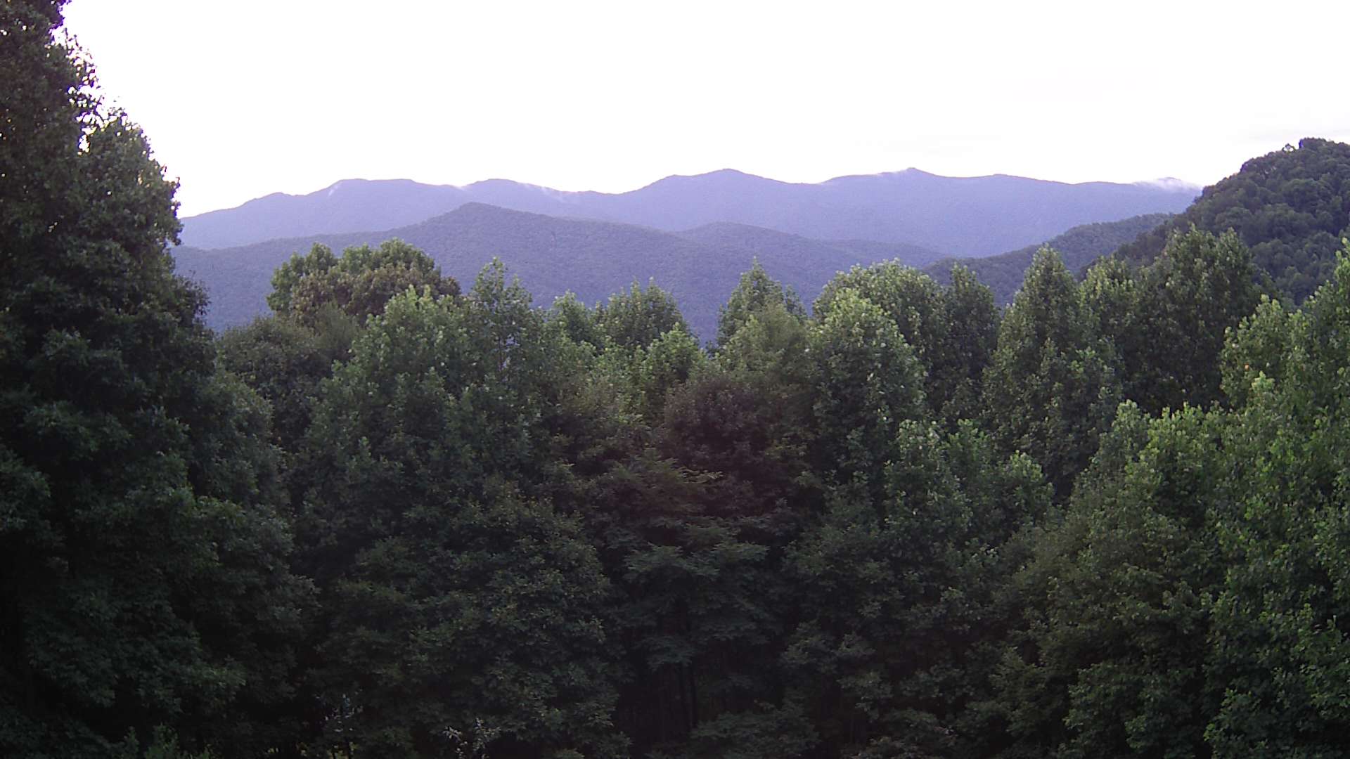 click for next image... slideshow image