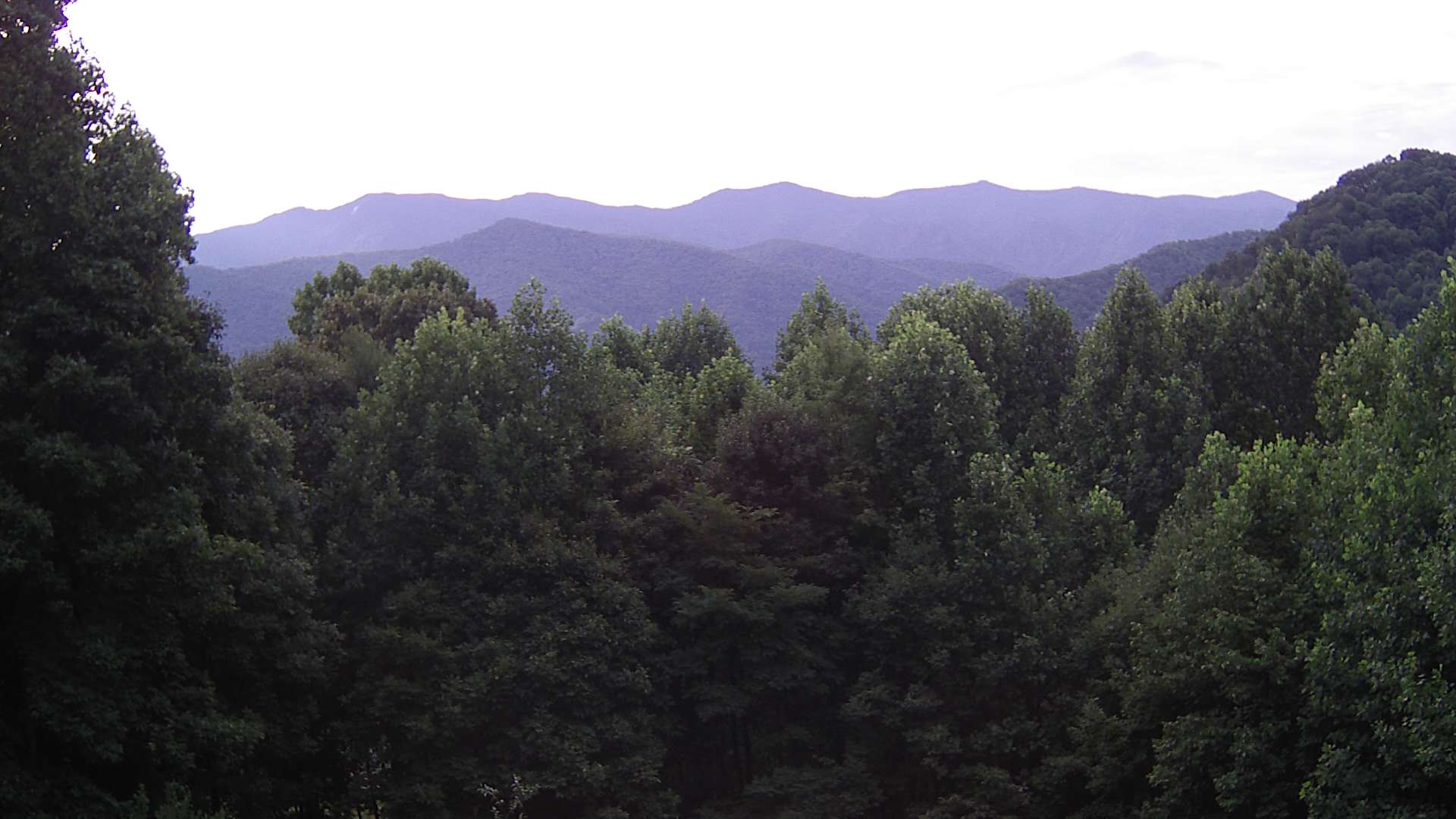 click for next image... slideshow image