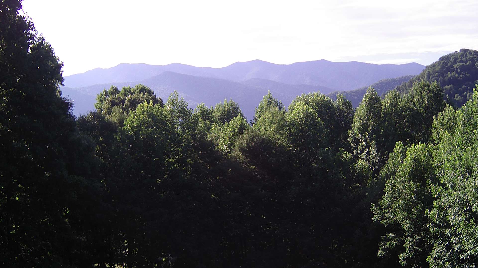 click for next image... slideshow image