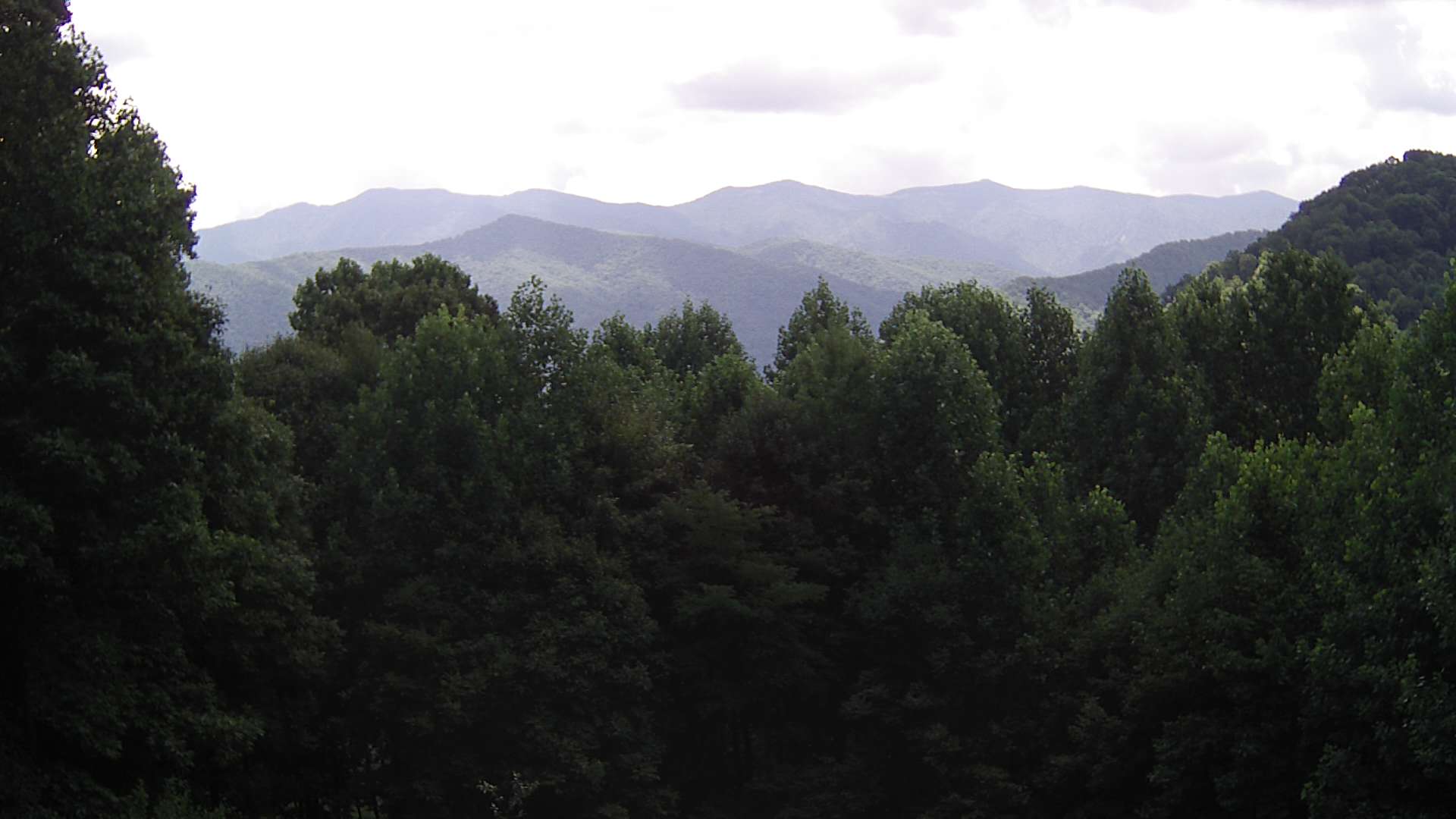 click for next image... slideshow image