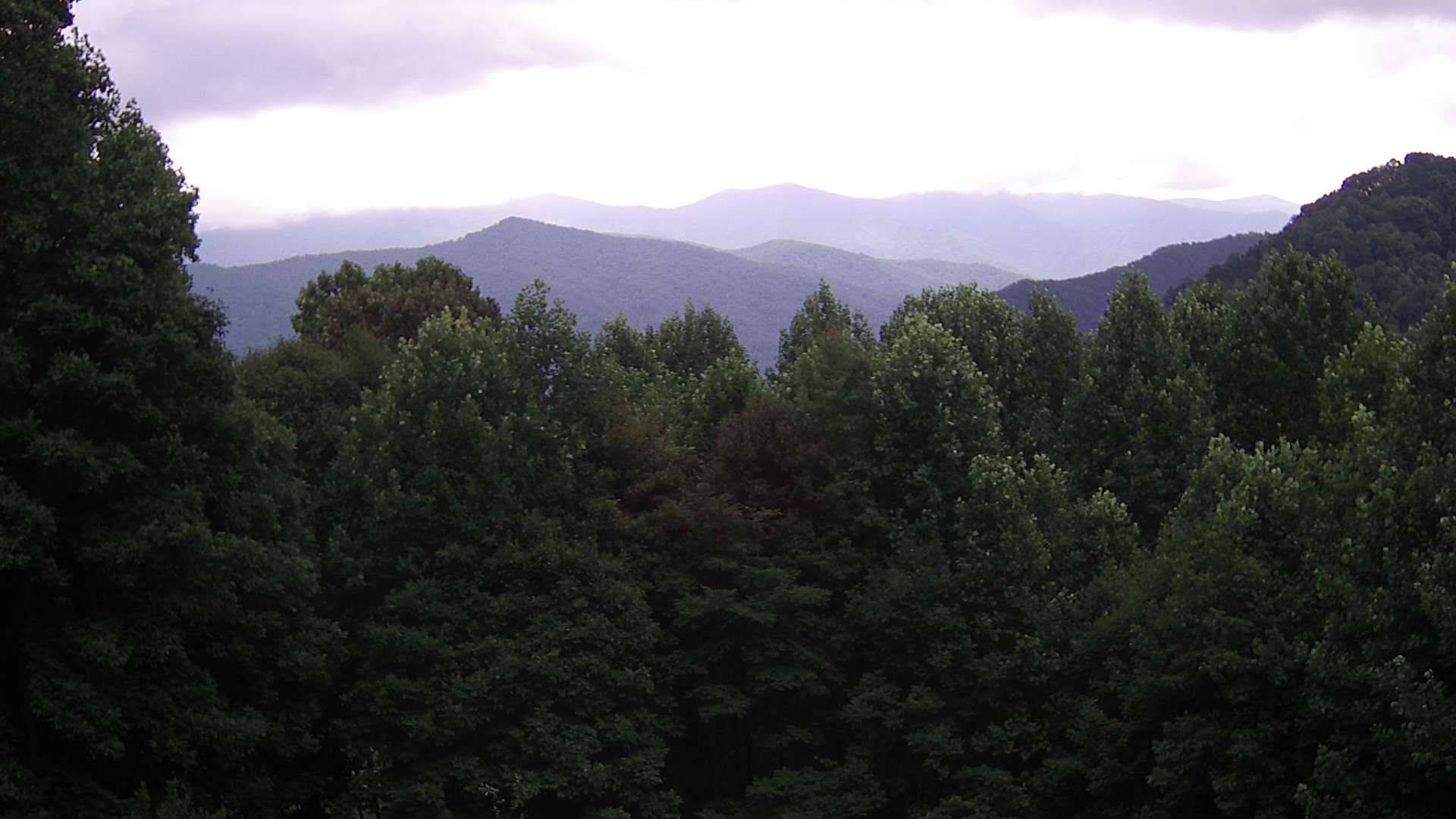 click for next image... slideshow image