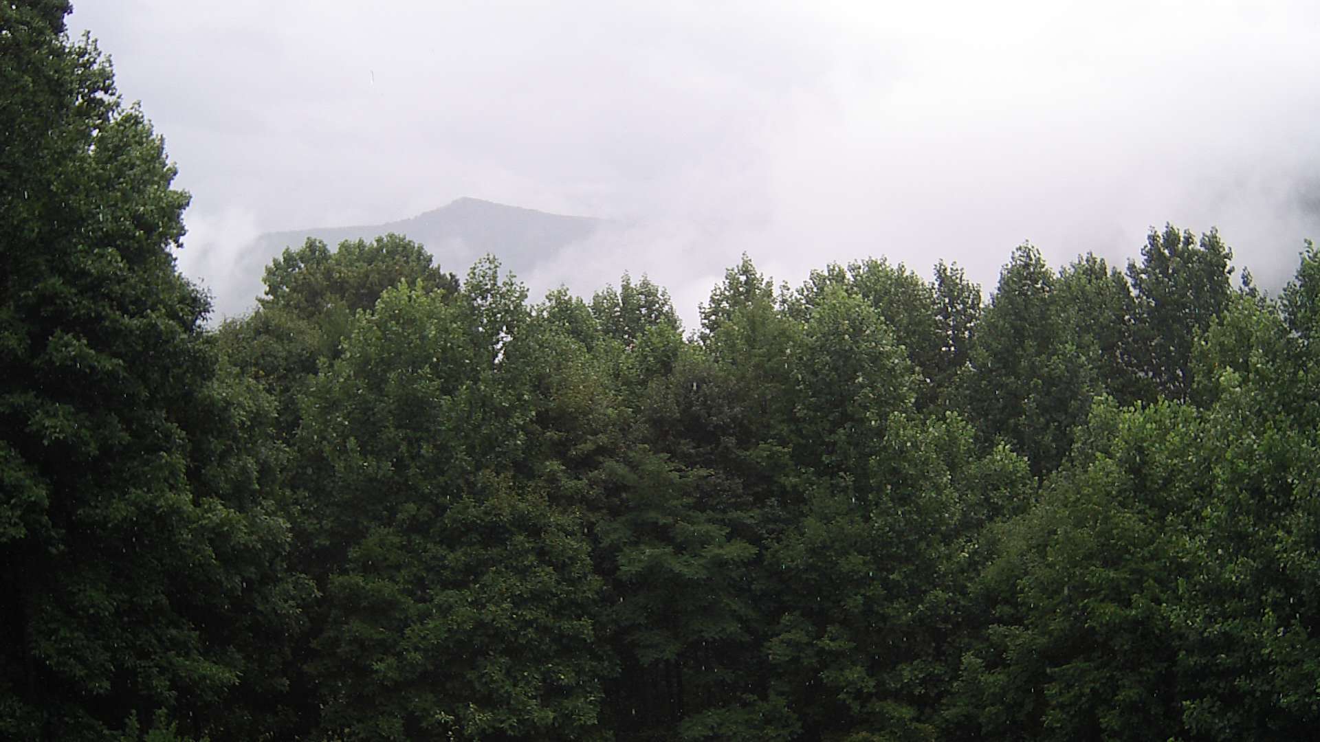 click for next image... slideshow image