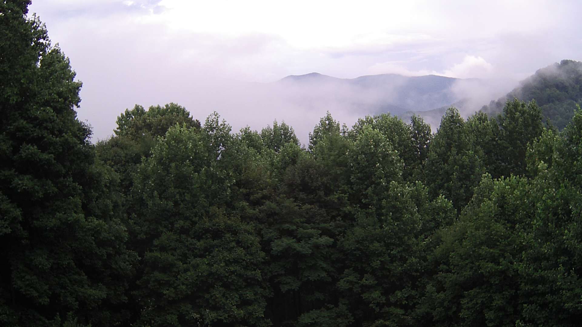 click for next image... slideshow image