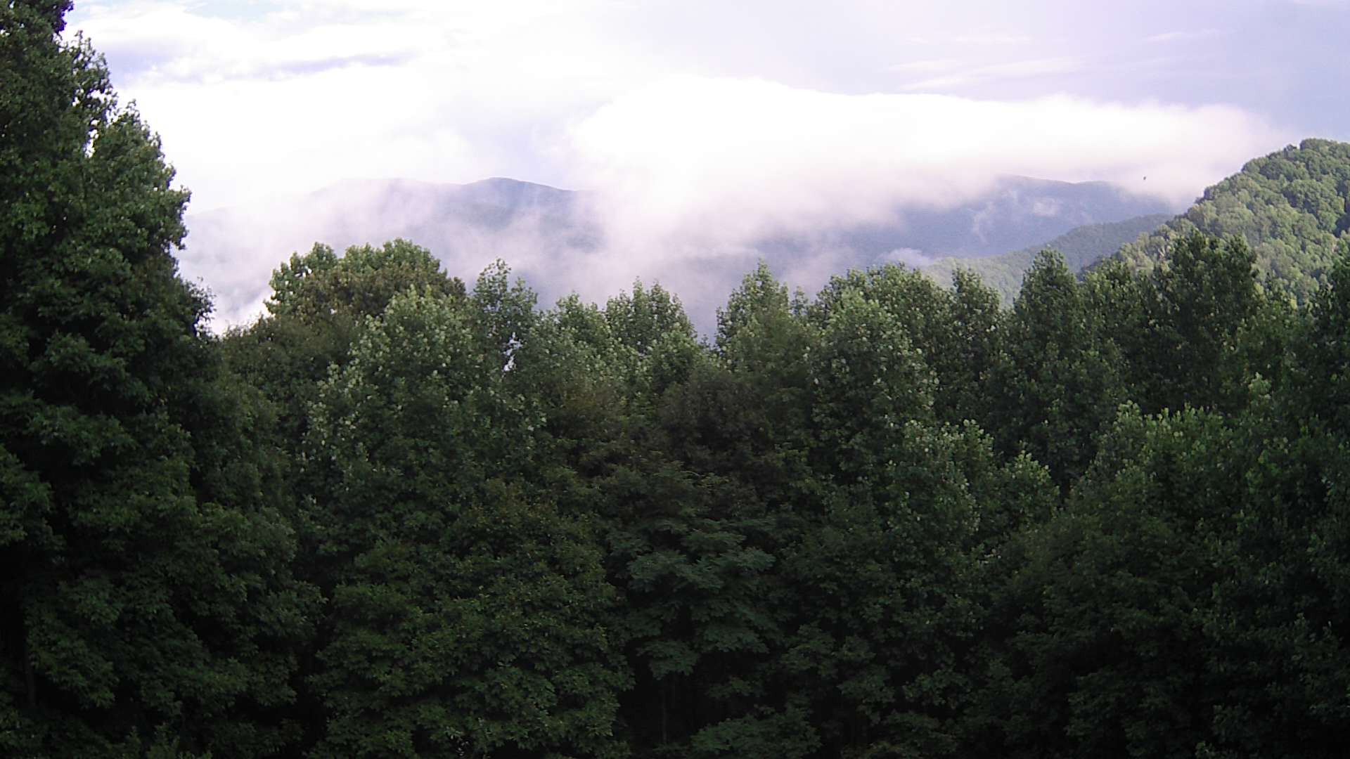 click for next image... slideshow image