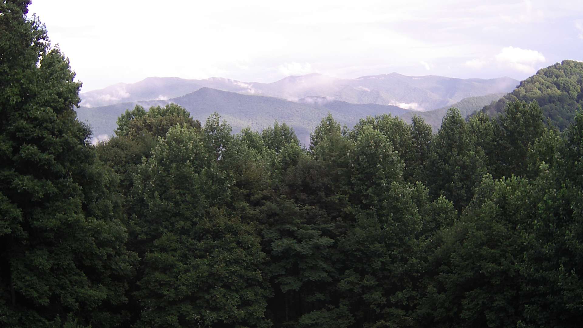 click for next image... slideshow image