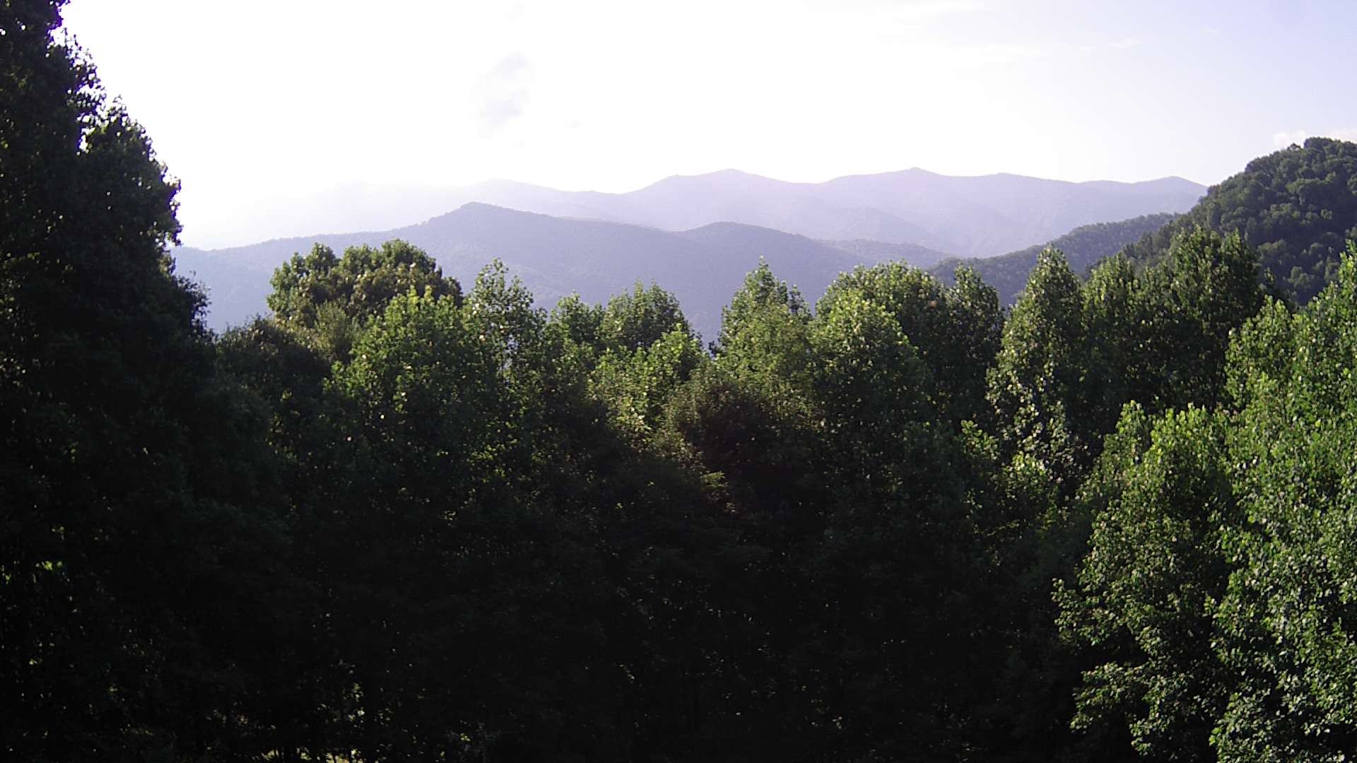 click for next image... slideshow image