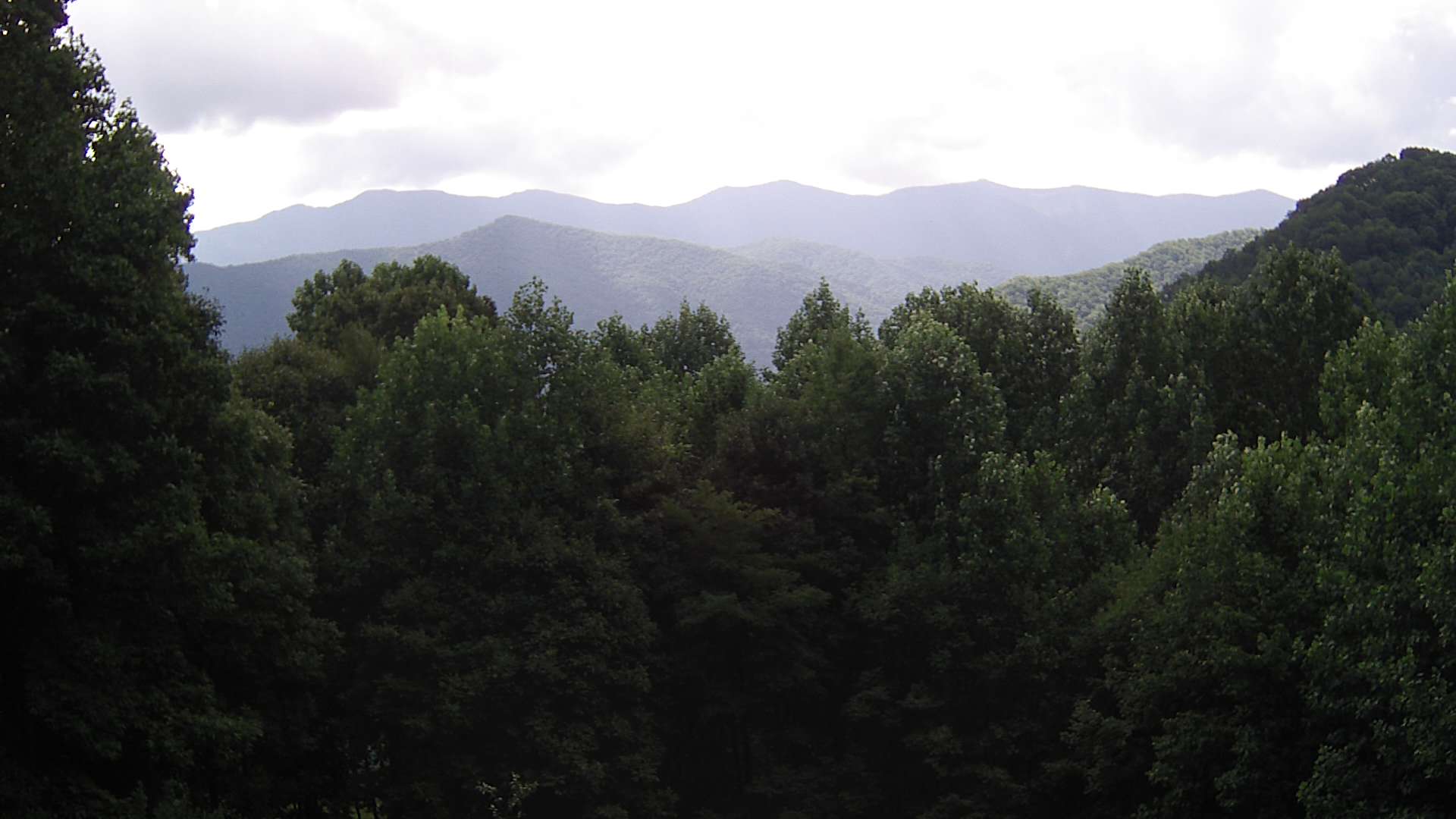 click for next image... slideshow image