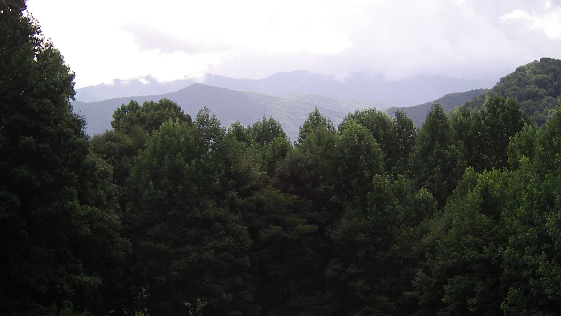 click for next image... slideshow image