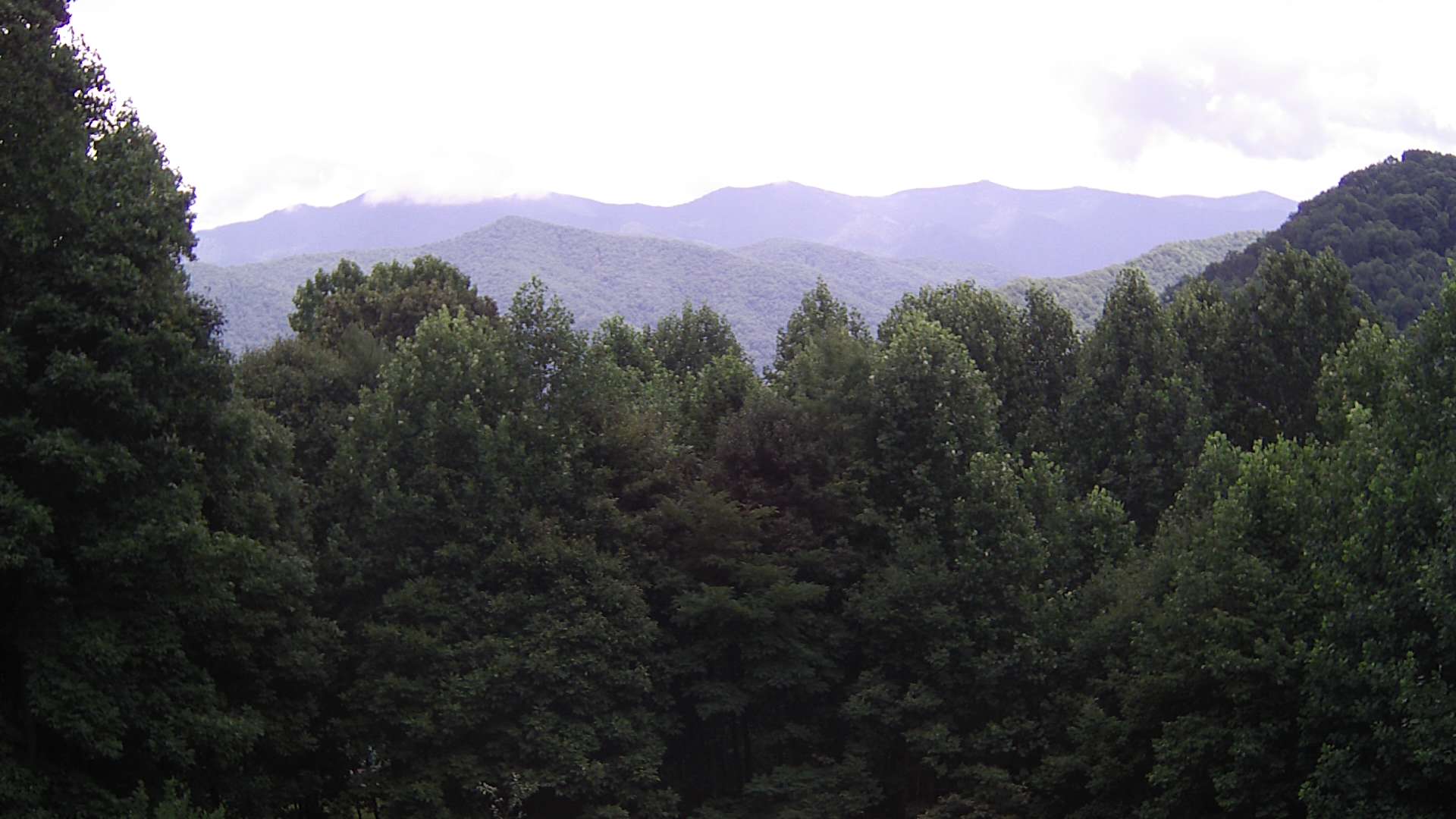 click for next image... slideshow image