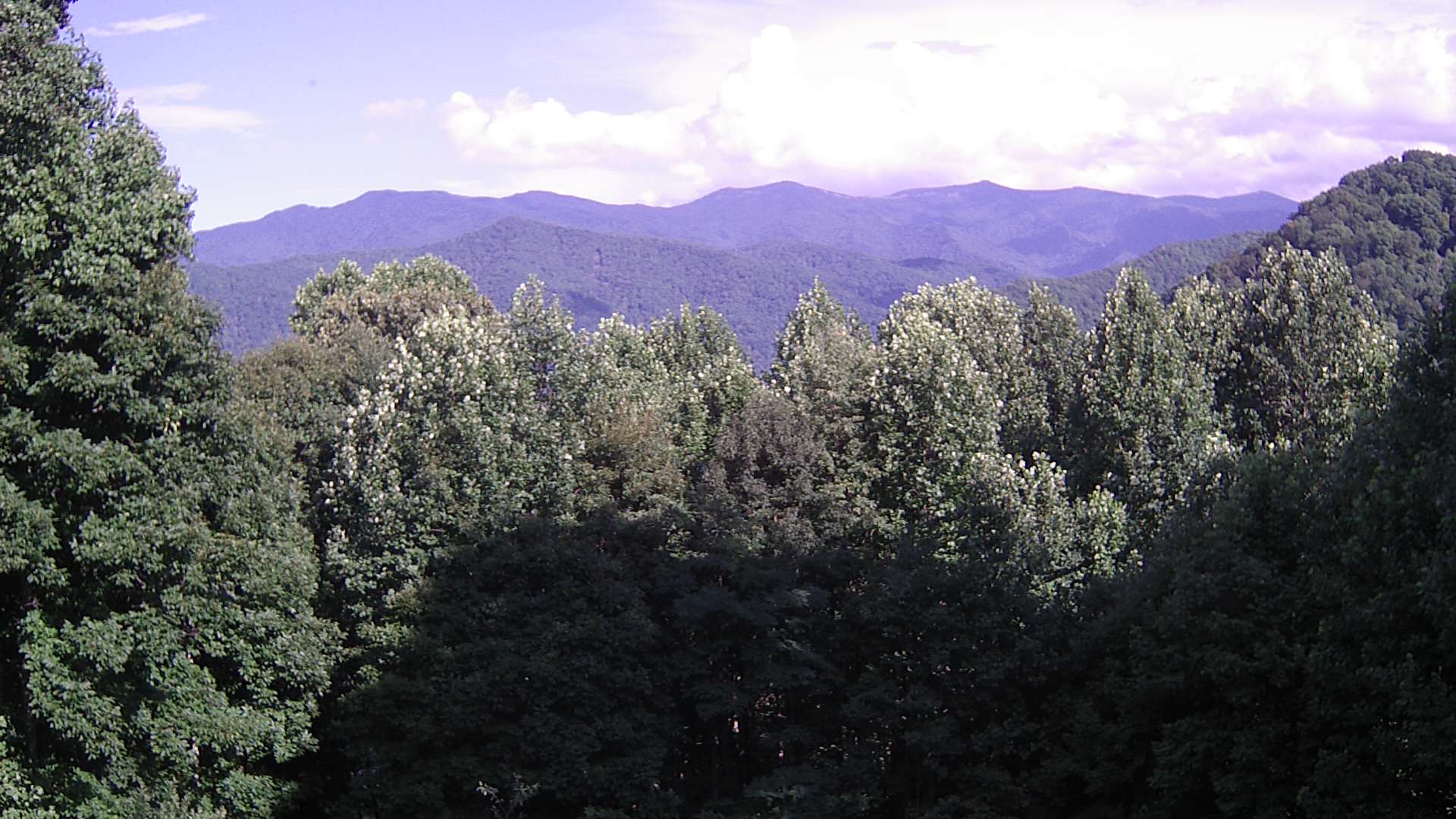 click for next image... slideshow image