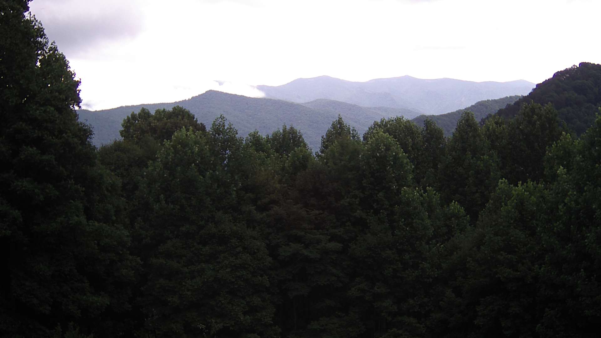 click for next image... slideshow image