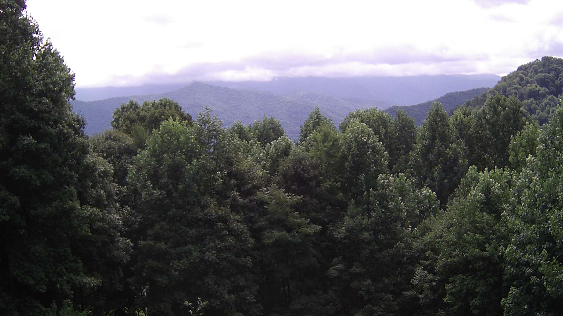 click for next image... slideshow image