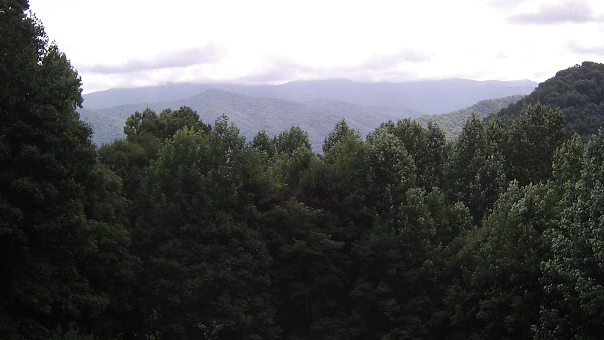 click for next image... slideshow image