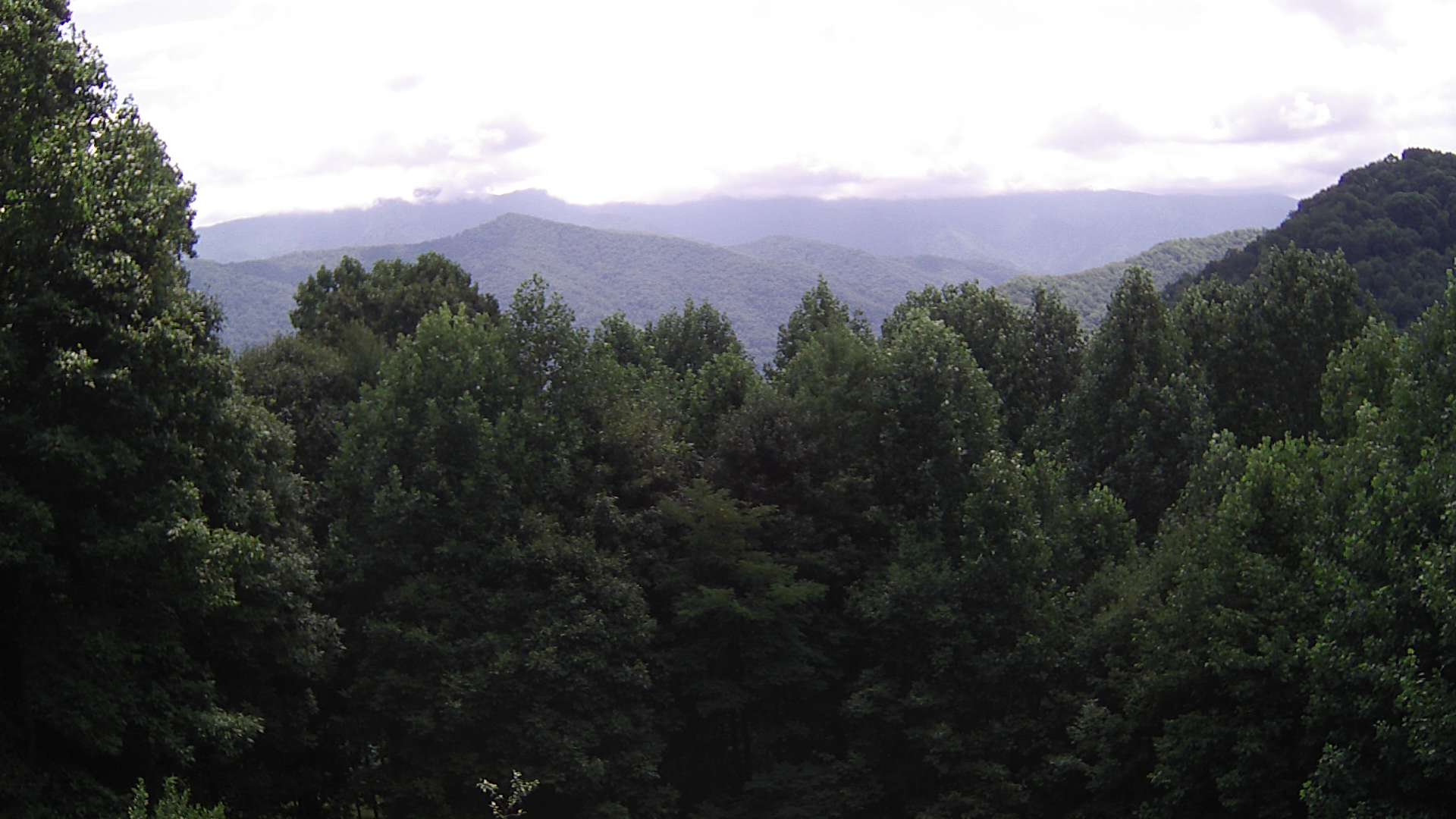 click for next image... slideshow image