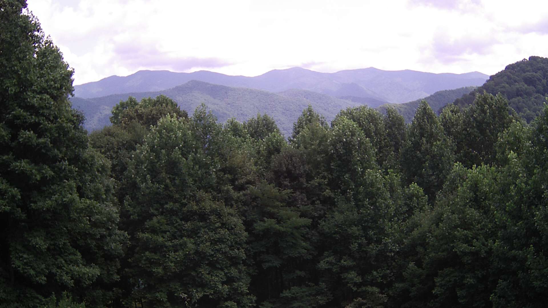 click for next image... slideshow image