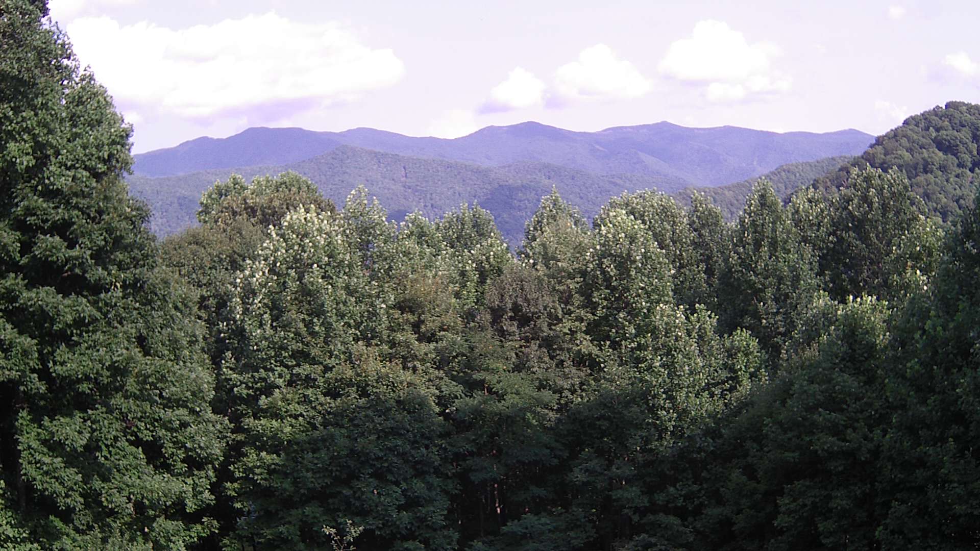 click for next image... slideshow image