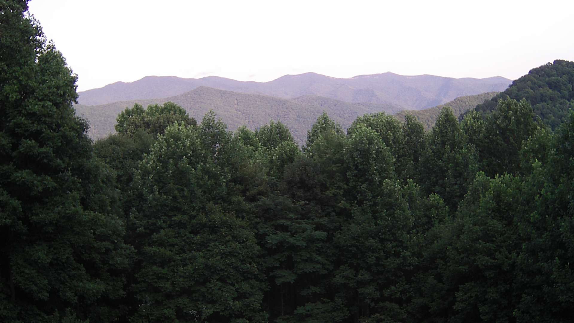 click for next image... slideshow image