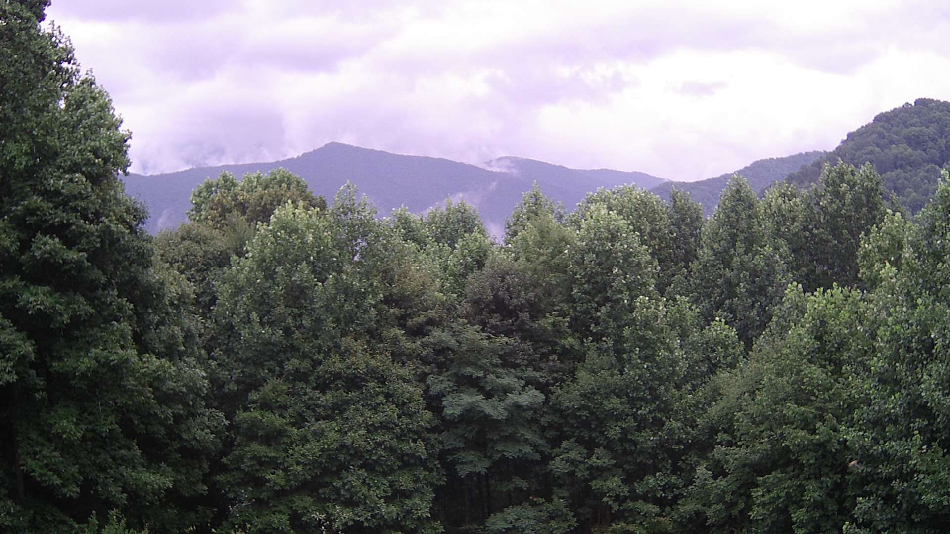click for next image... slideshow image