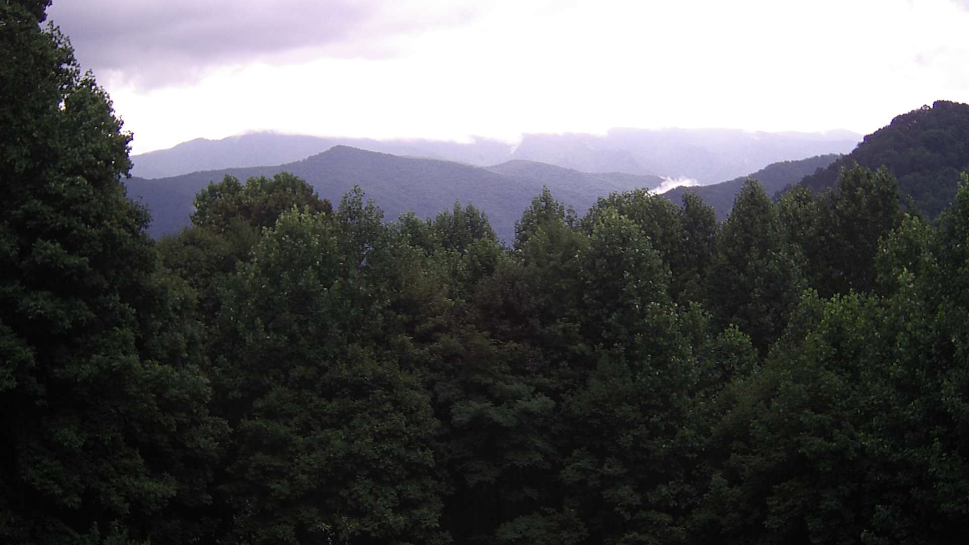 click for next image... slideshow image