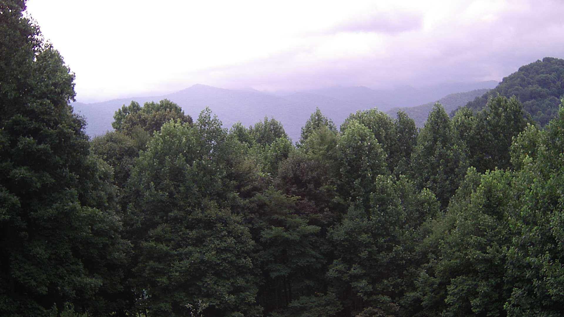 click for next image... slideshow image